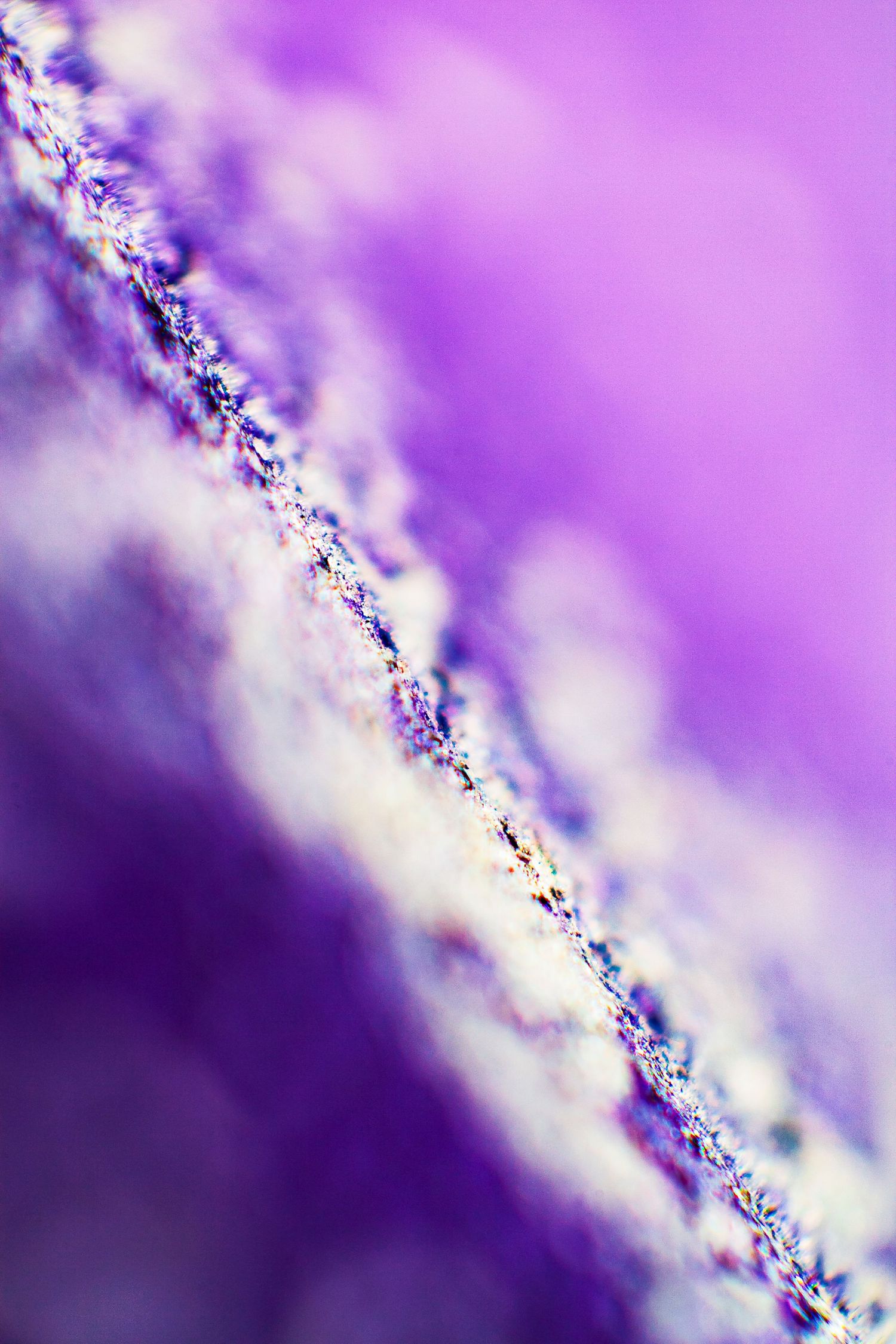 Close-up macro shot of purple and white crystalline mineral texture with soft bokeh background.