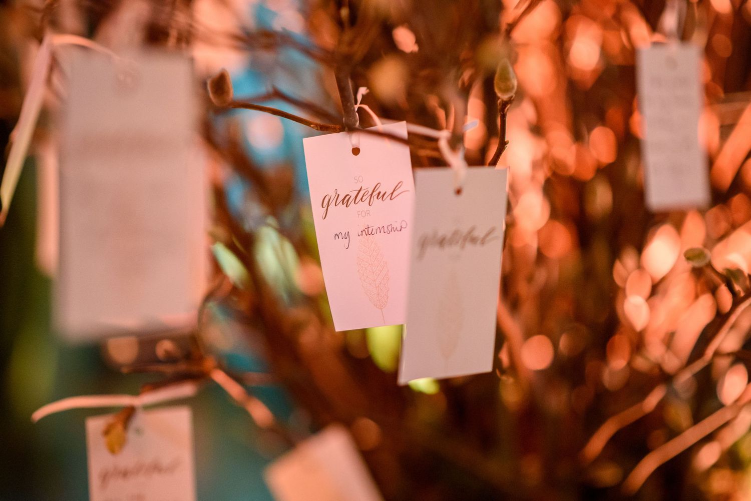 Decorative name cards with warm bokeh lighting effects in the background.
