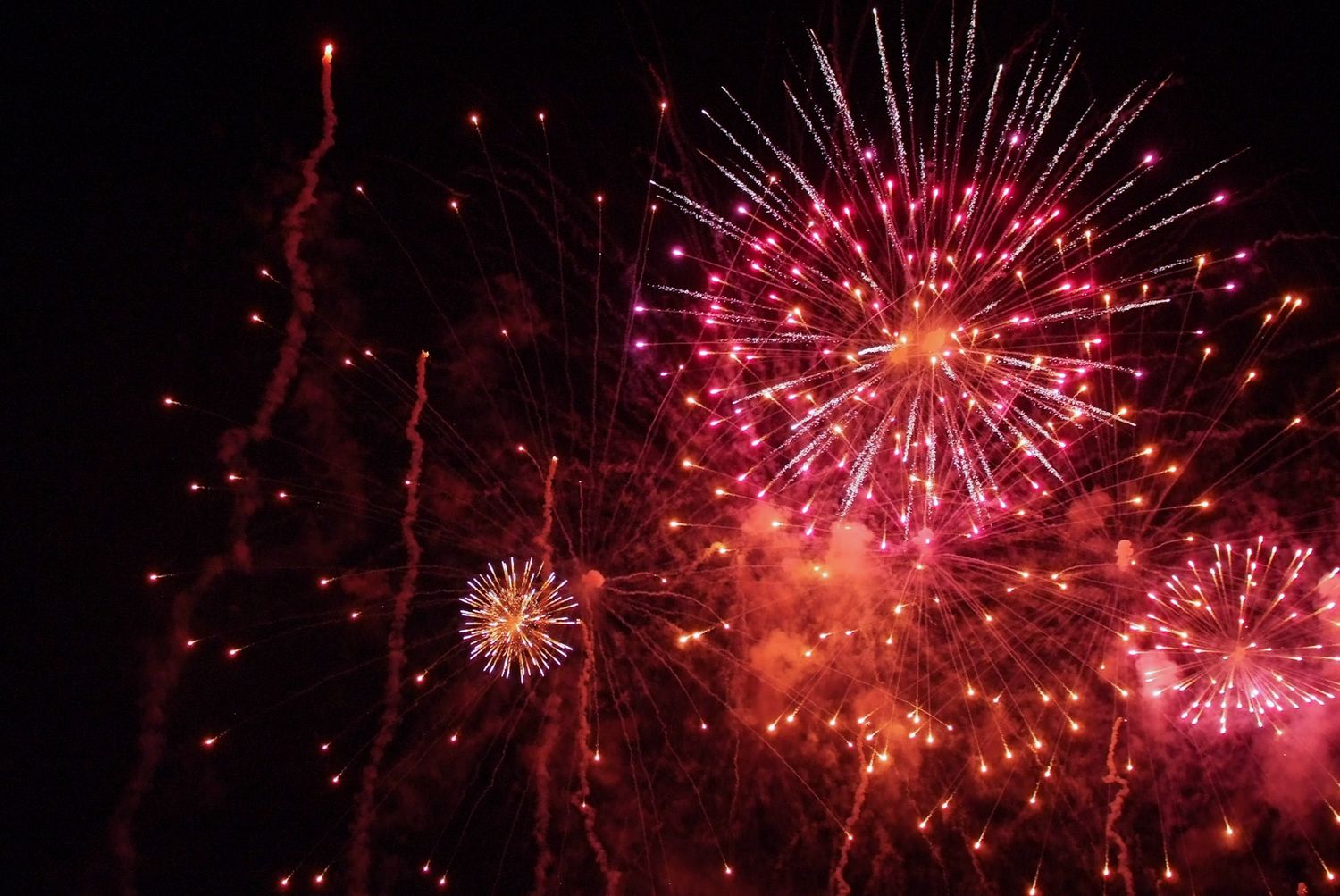 Bright red fireworks burst against dark night sky in spectacular display.