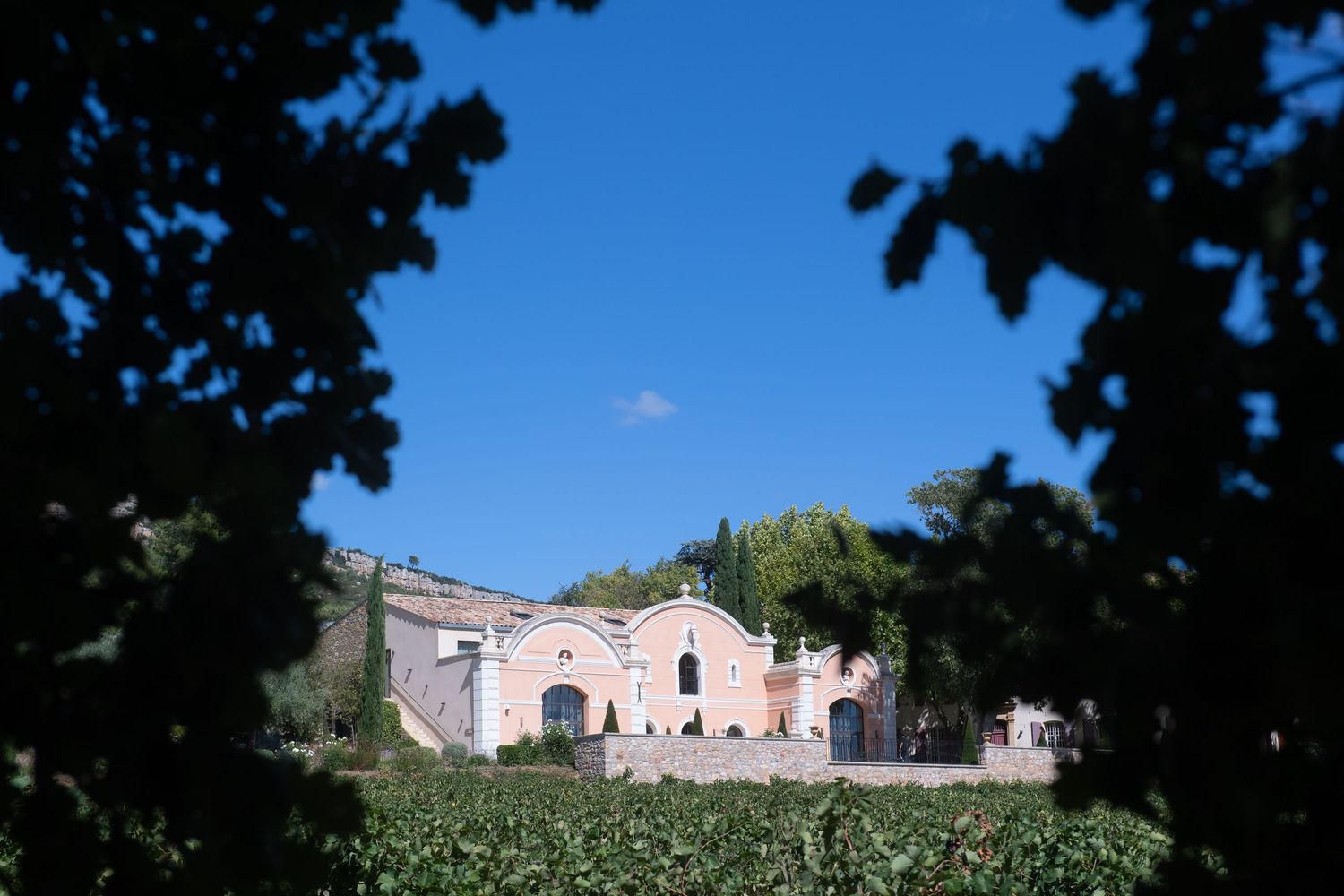 Ancient stone ruins with pink walls surrounded by green vegetation and trees framed against a blue sky.