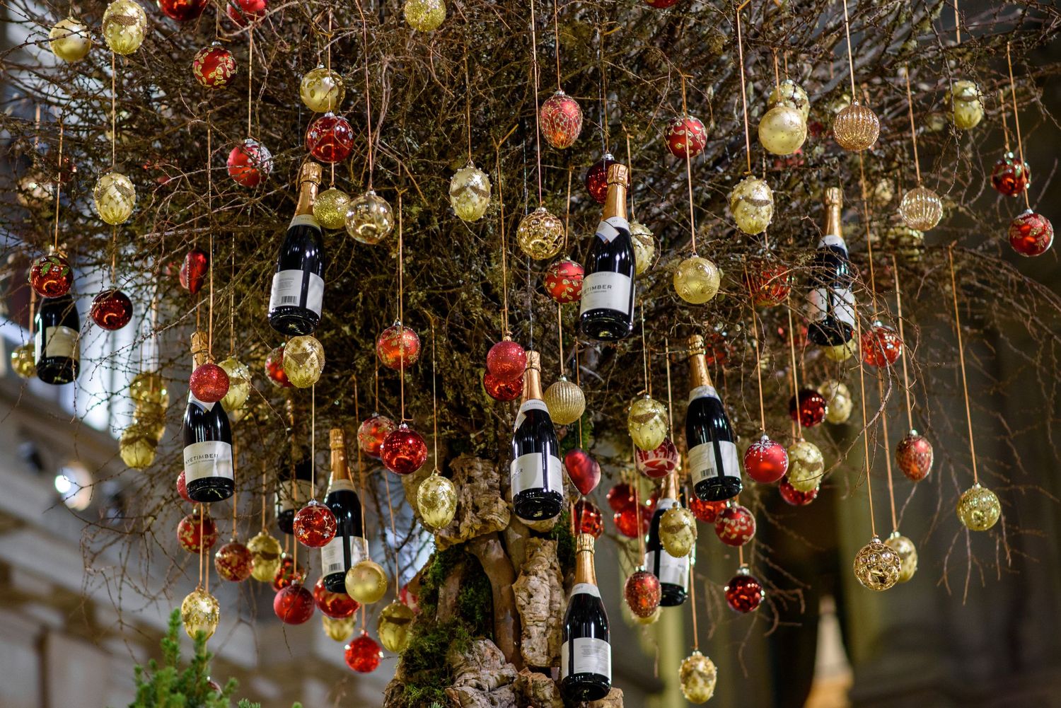 Festive Christmas ornaments and decorative balls hanging from tree branches.