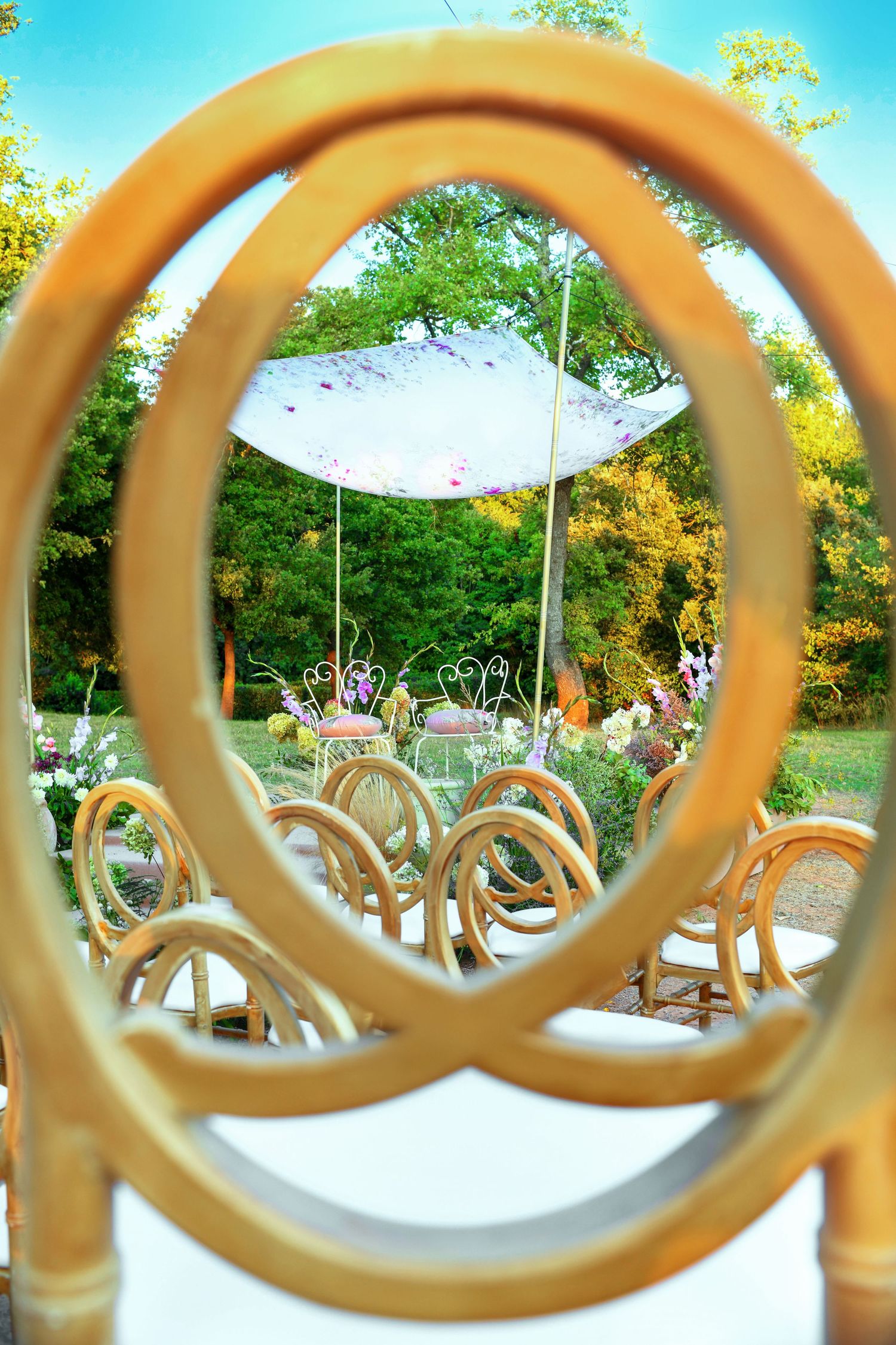 Outdoor wedding venue setup viewed through decorative chair backs with white umbrellas and autumn foliage in background.