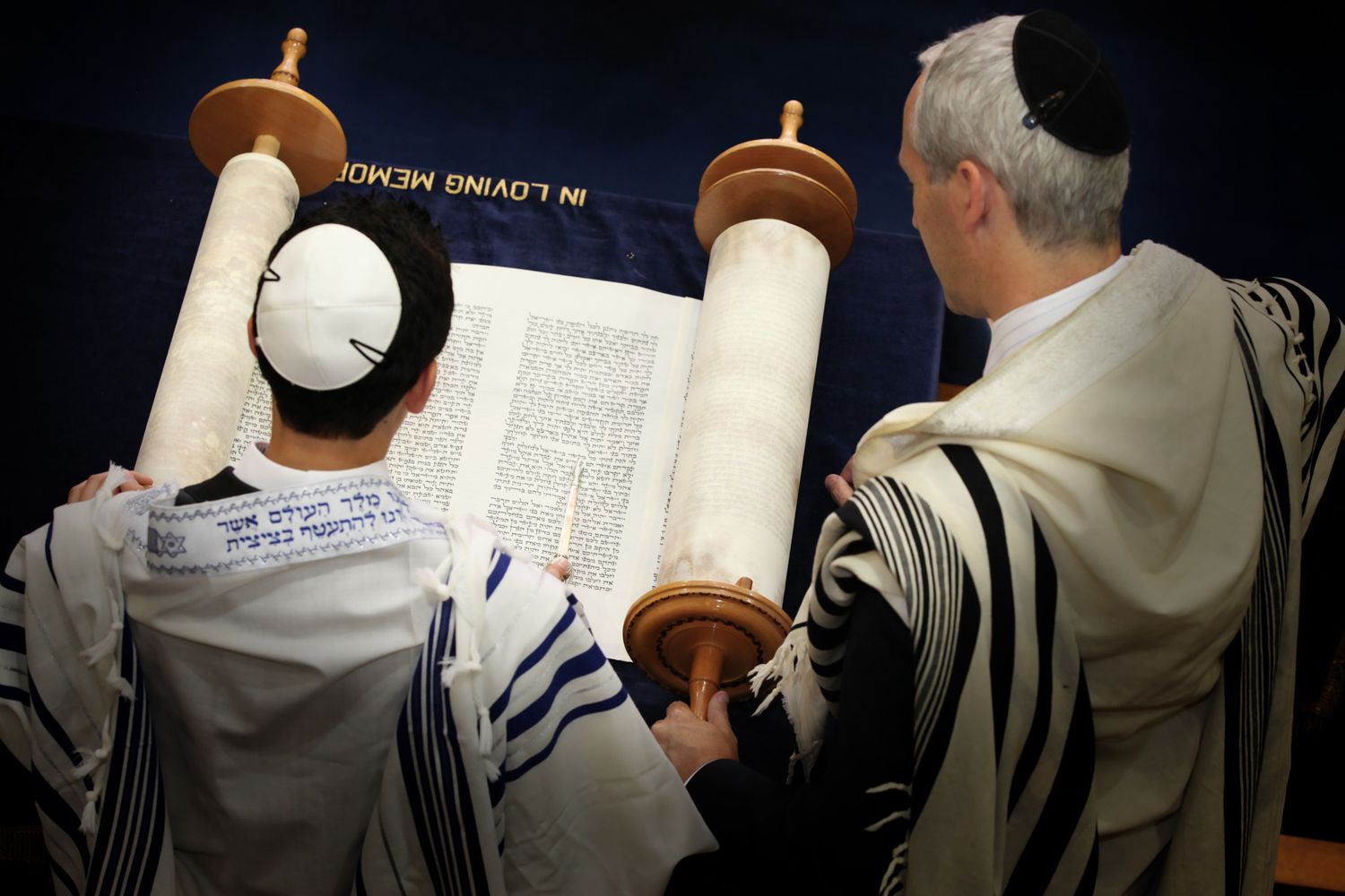 A person wearing a prayer shawl and kippah reads from a Torah scroll during a Jewish religious service.
