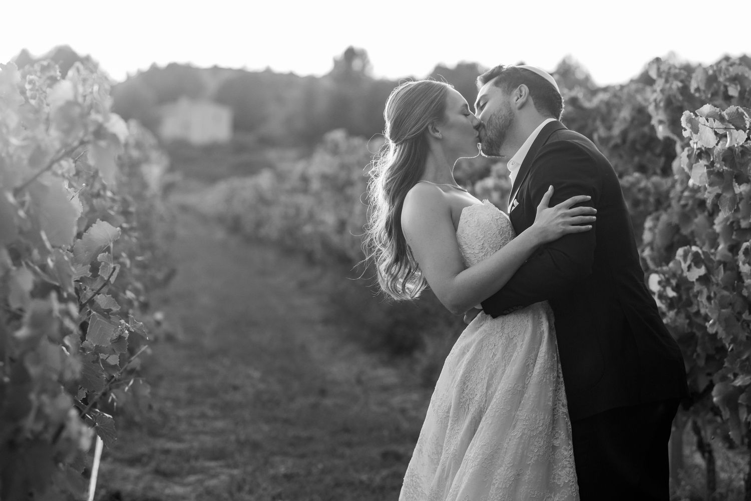 A romantic couple embraces in a vineyard at sunset creating a silhouetted moment against the evening sky.