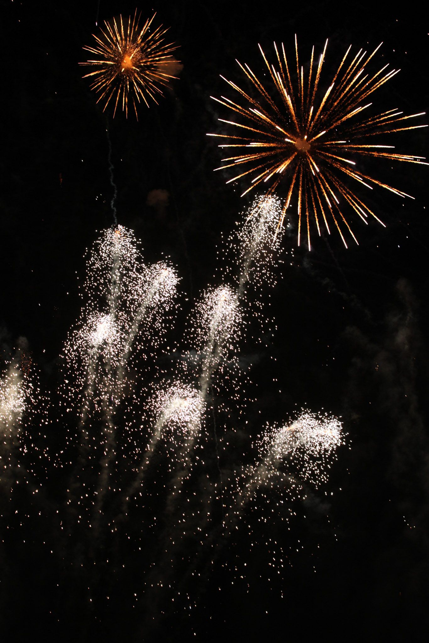 Spectacular fireworks display lighting up the night sky with golden bursts.