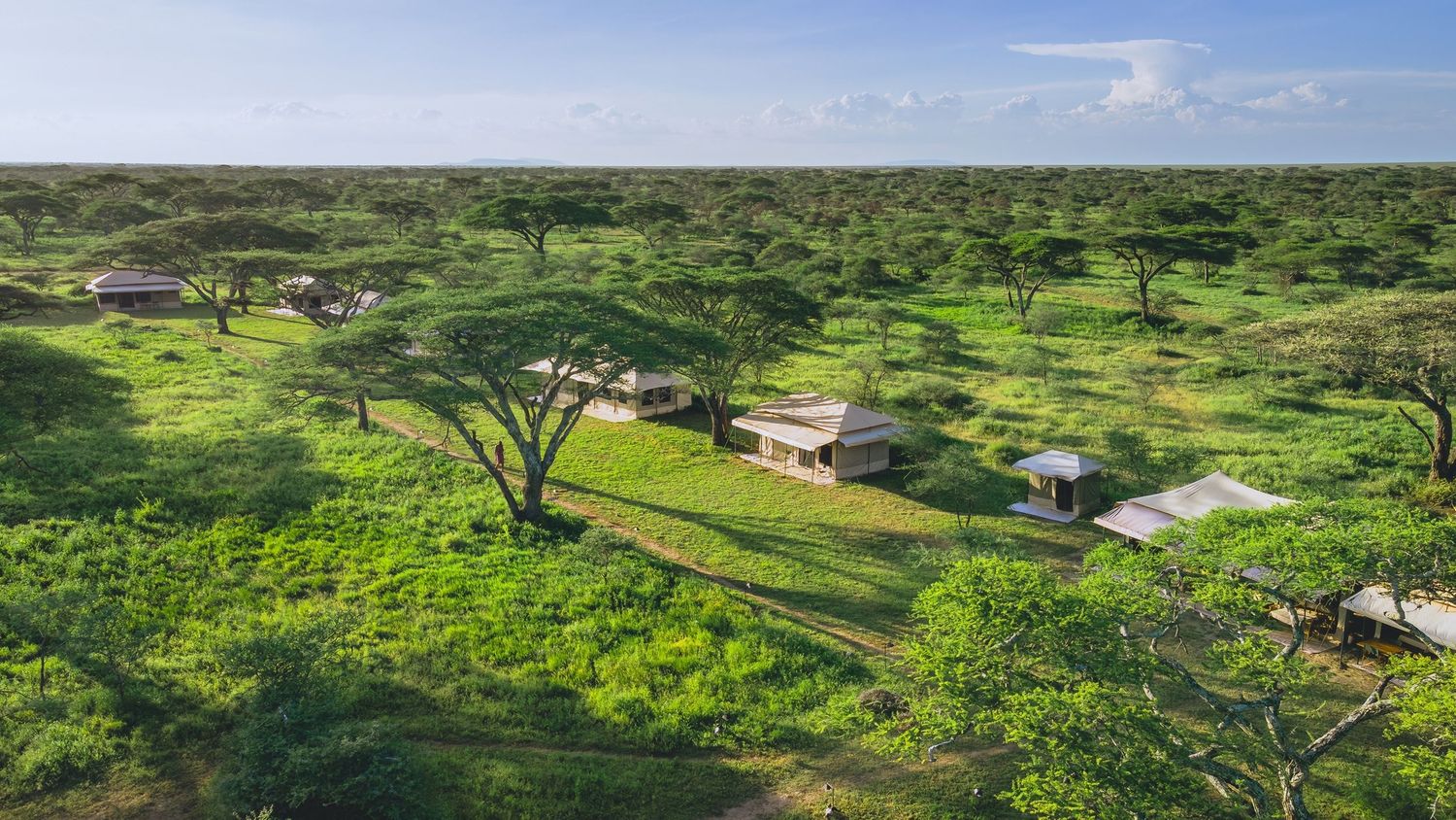 serengeti logdes