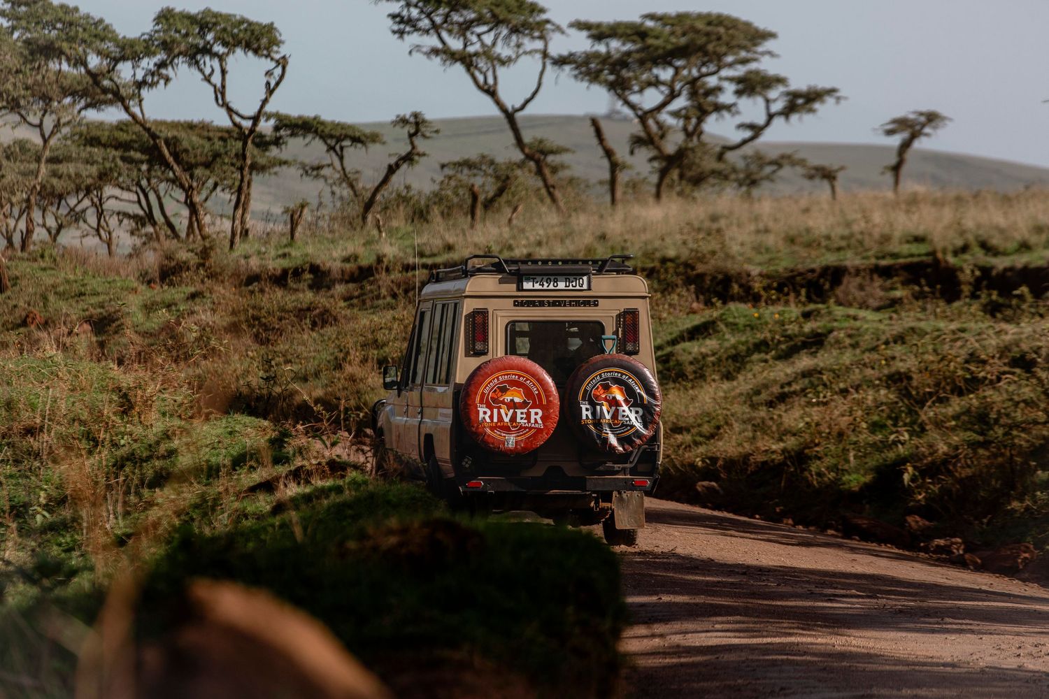 riverstone safaris