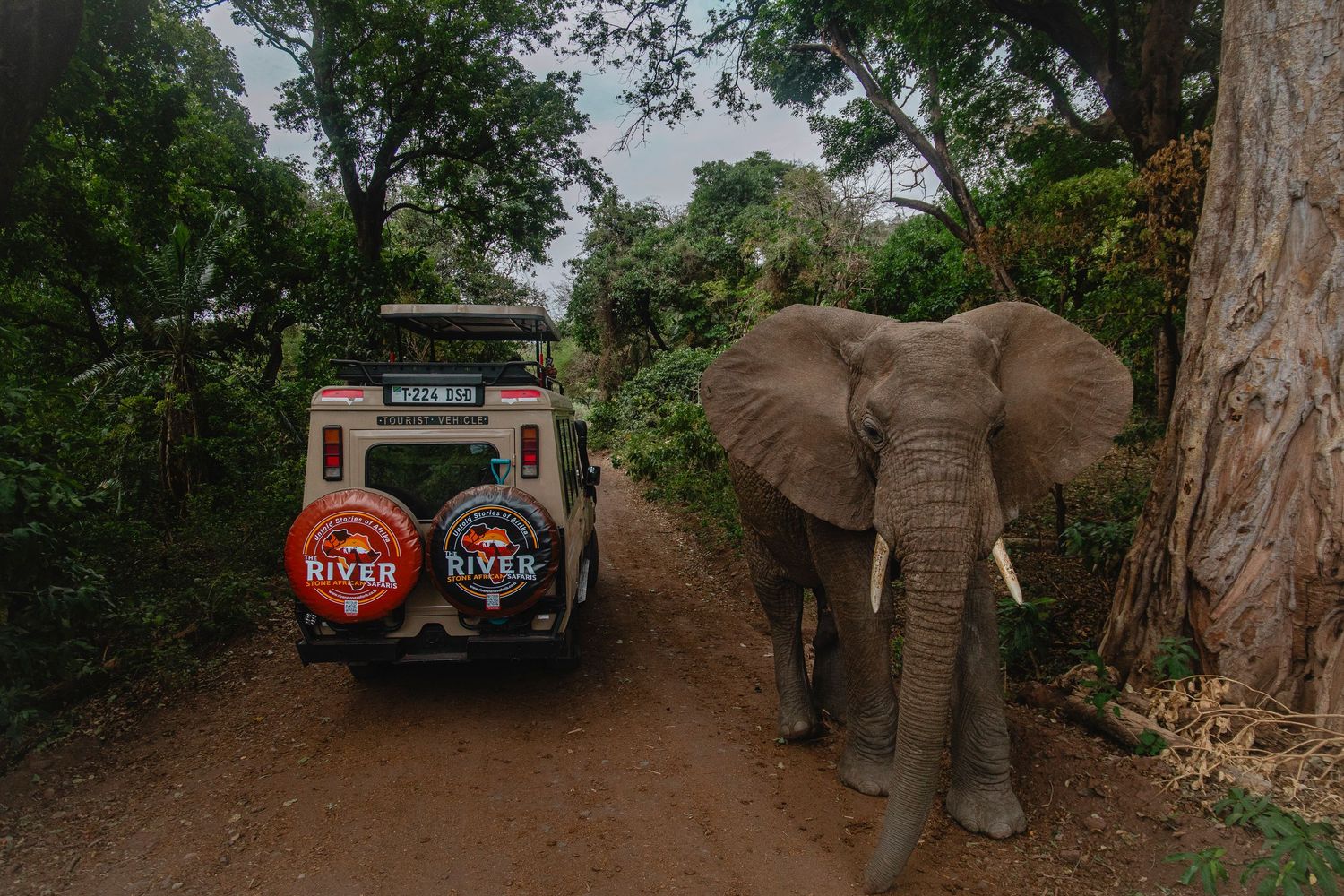 riverstone safari