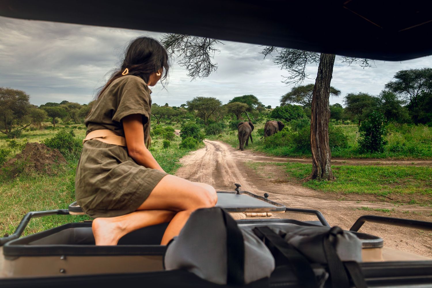 watching elephants