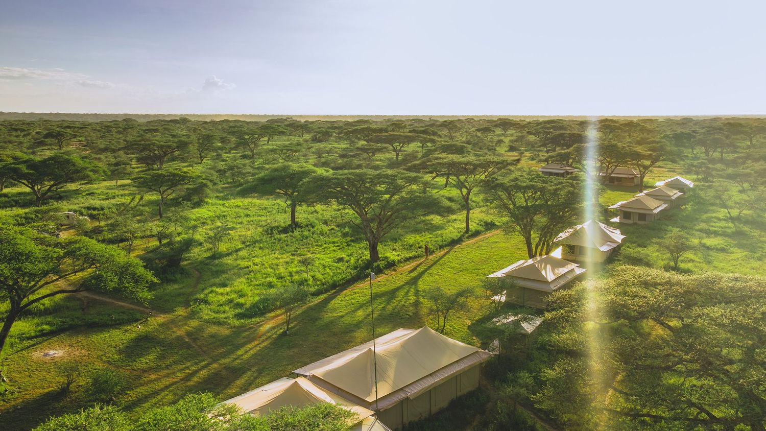 serengeti lodge