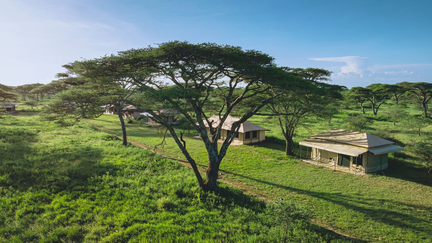 serengeti lodges