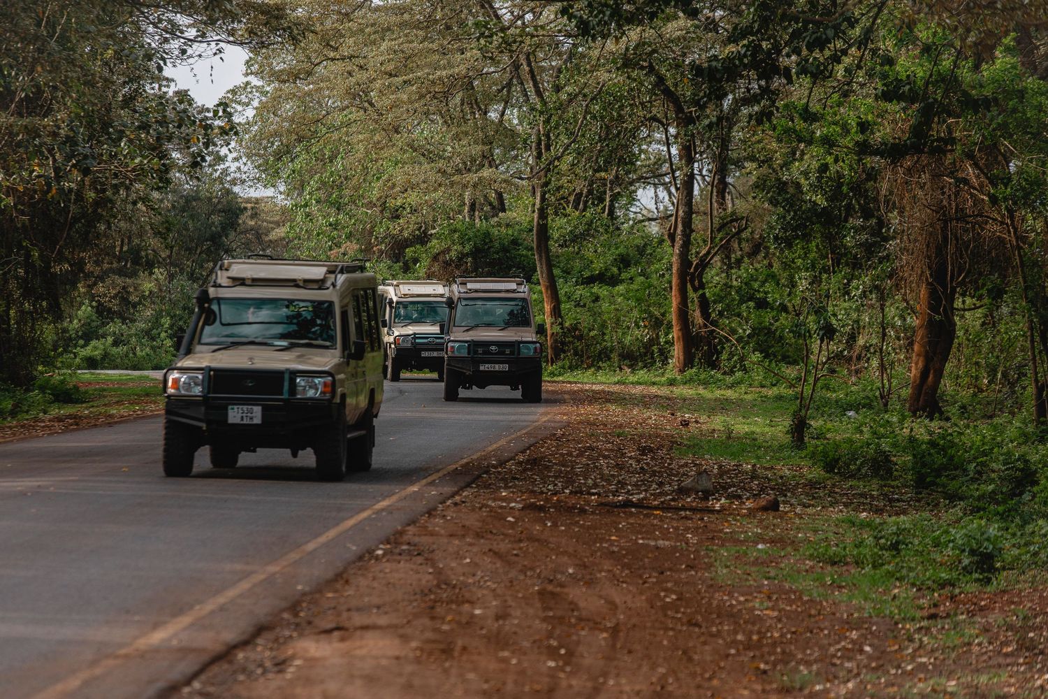 safari trucks
