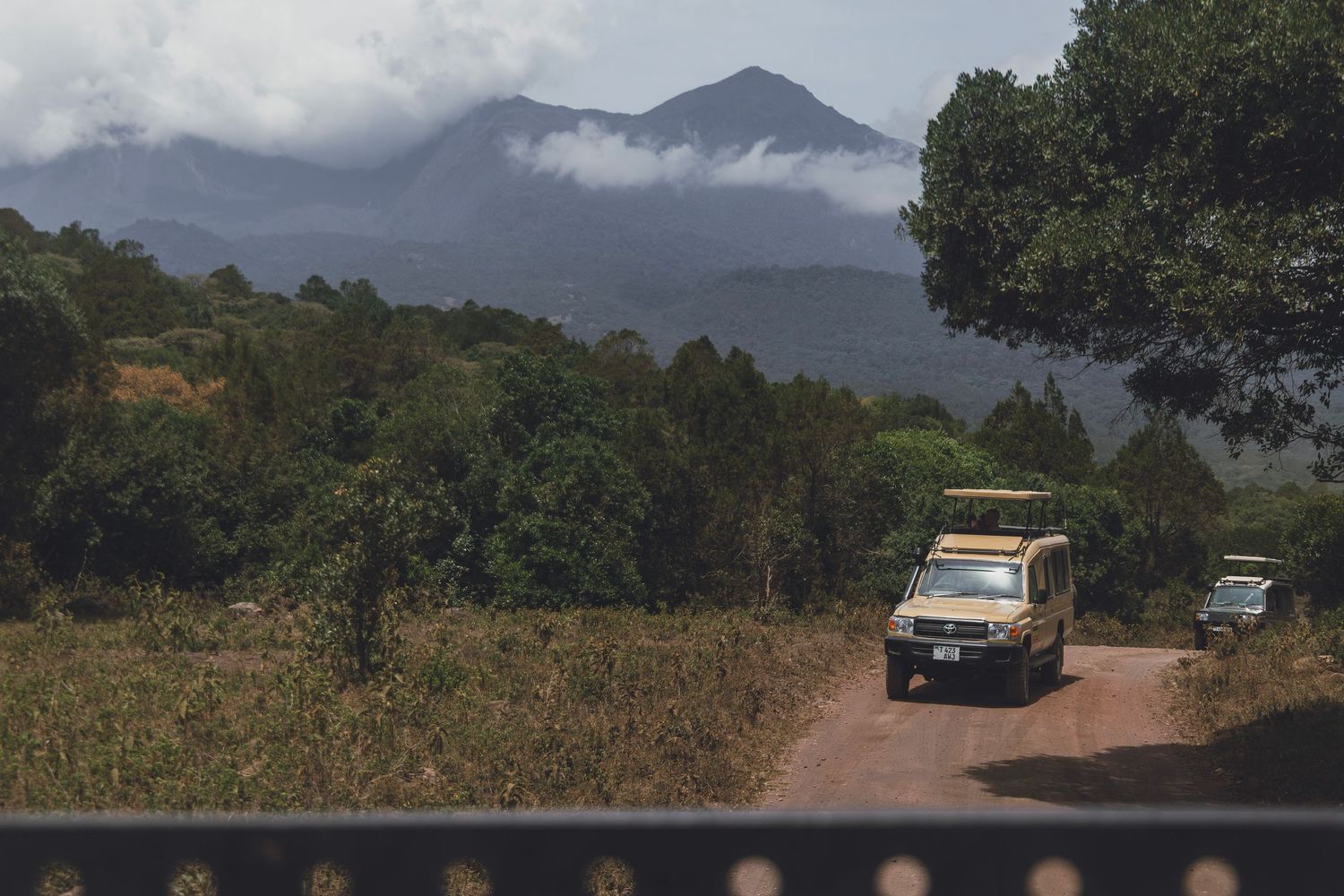 Arusha national park