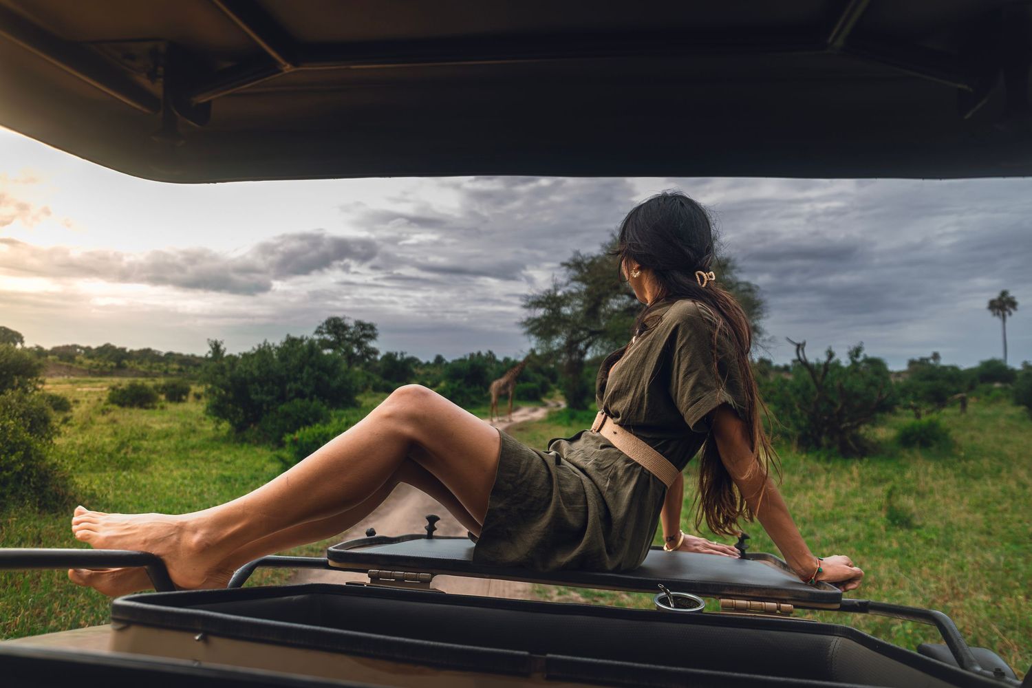 watching giraffe