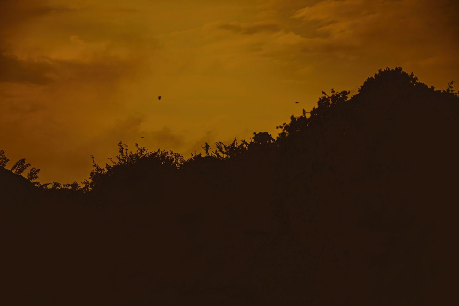 hadzabe hunting