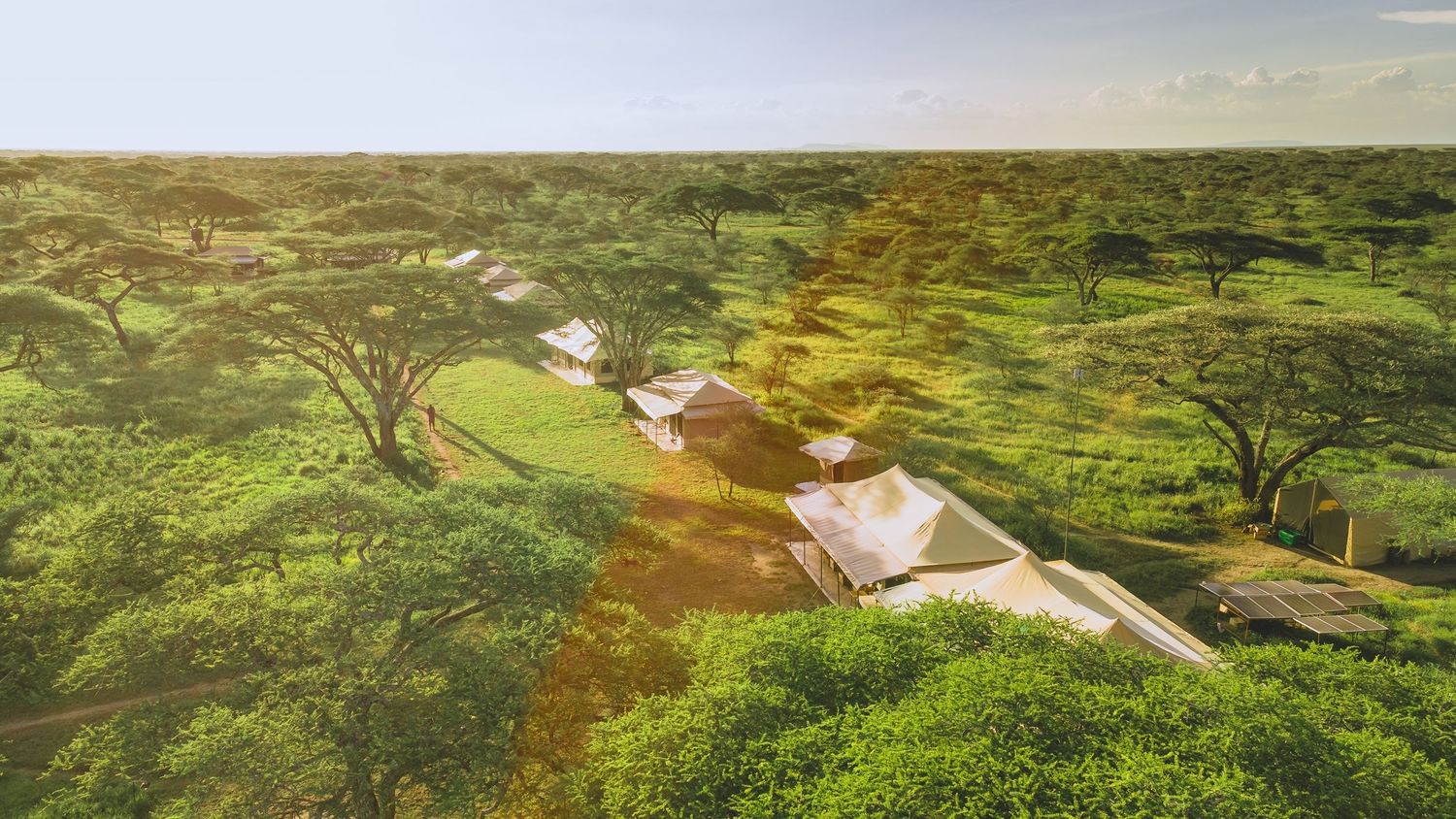 serengeti lodge