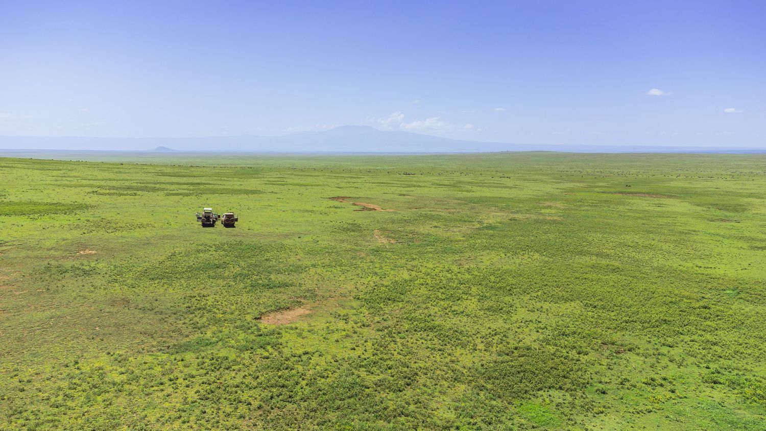 serengeti