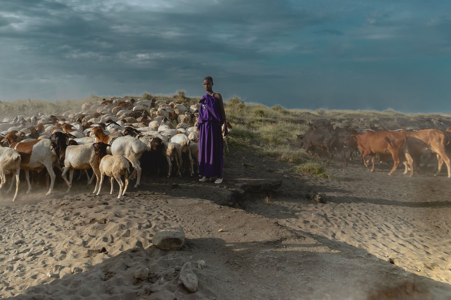maasai lady grazing
