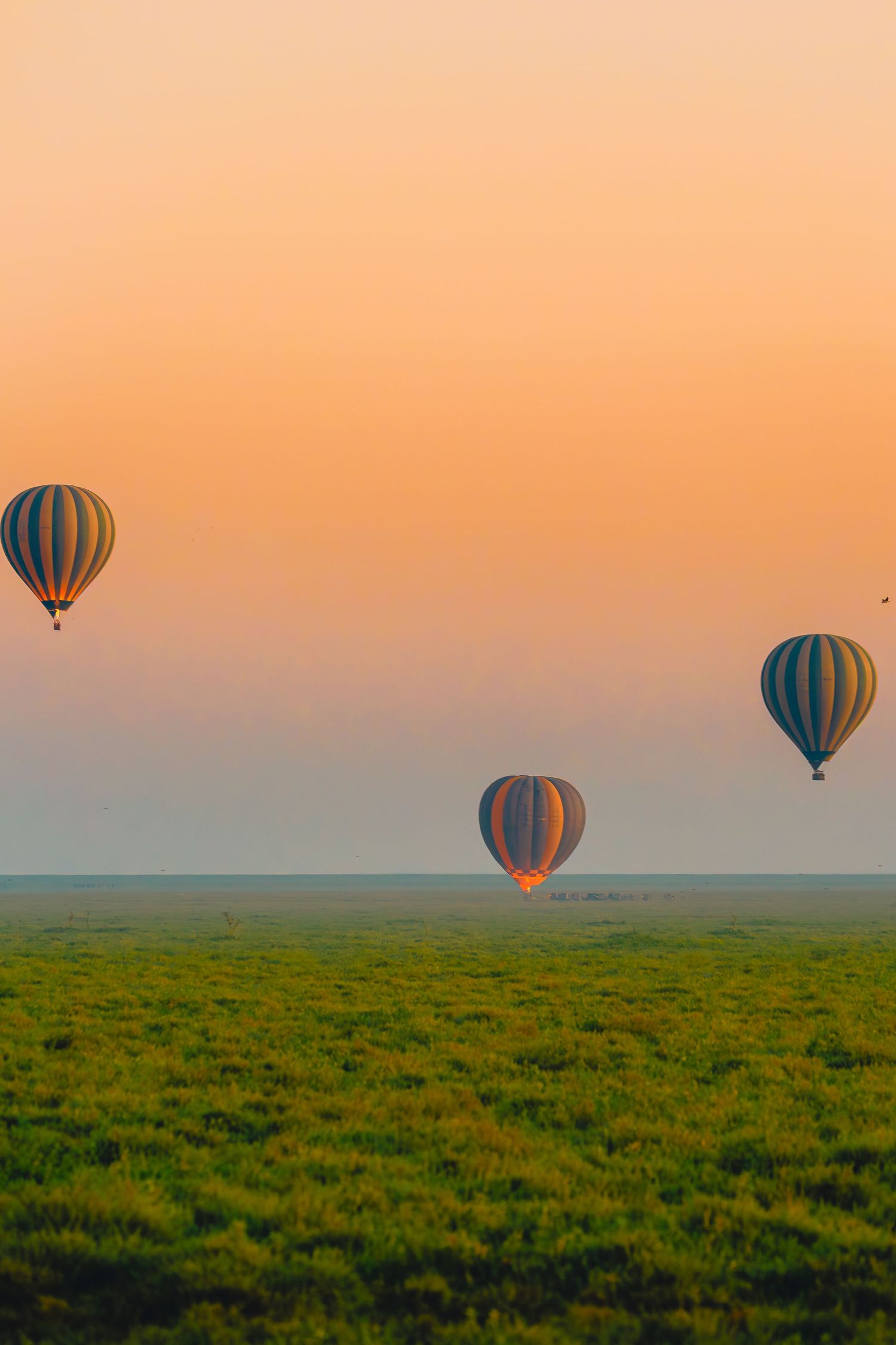 serengeti ballons