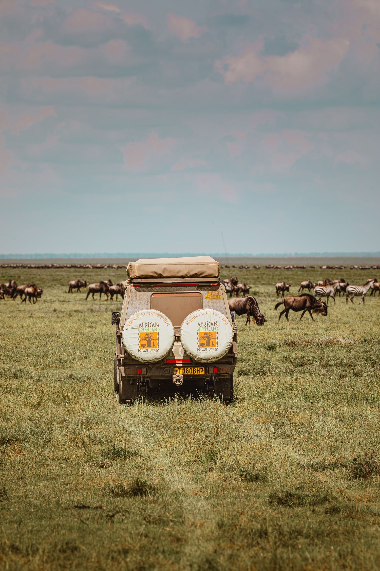 ndutu cruising