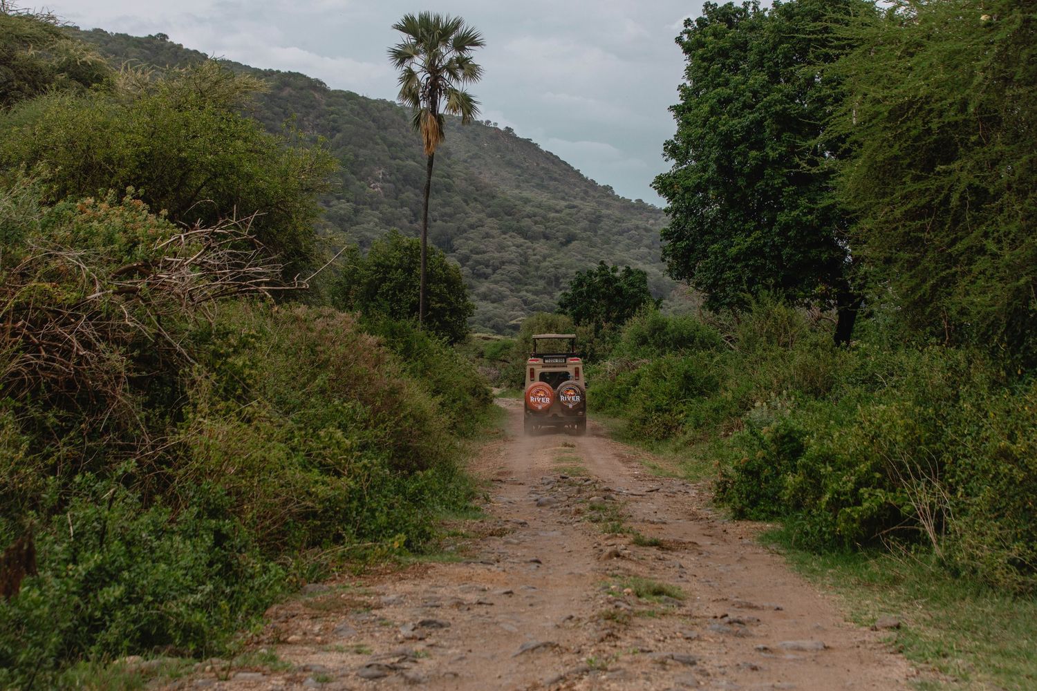 riverstone safaris