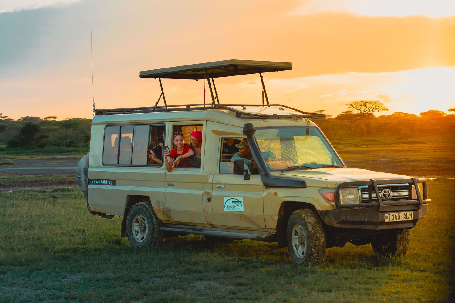 serengeti