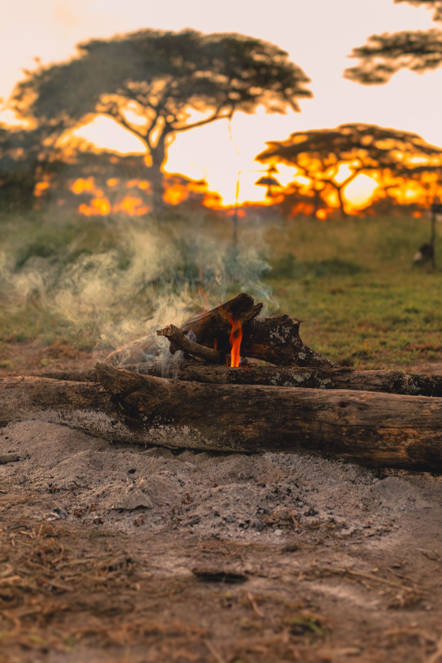 sunsets in serengeti
