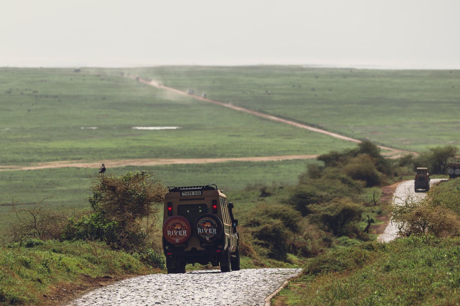 riverstone safaris in ngorongoro