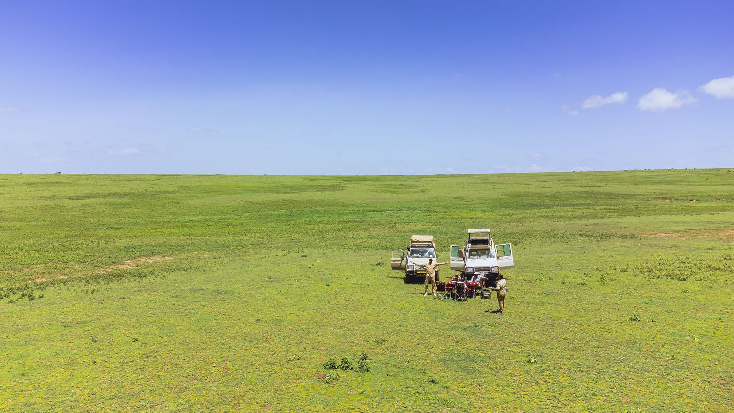 serengeti