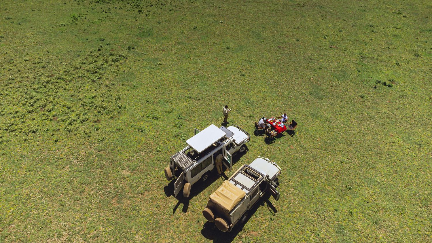 serengeti eating