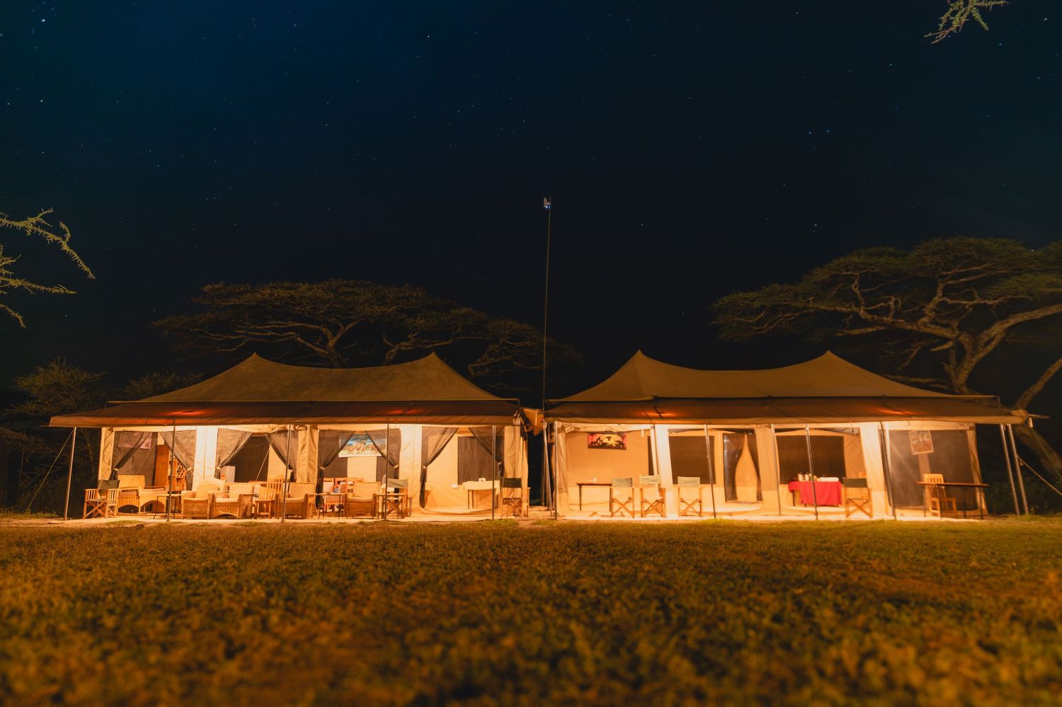 nights in the serengeti