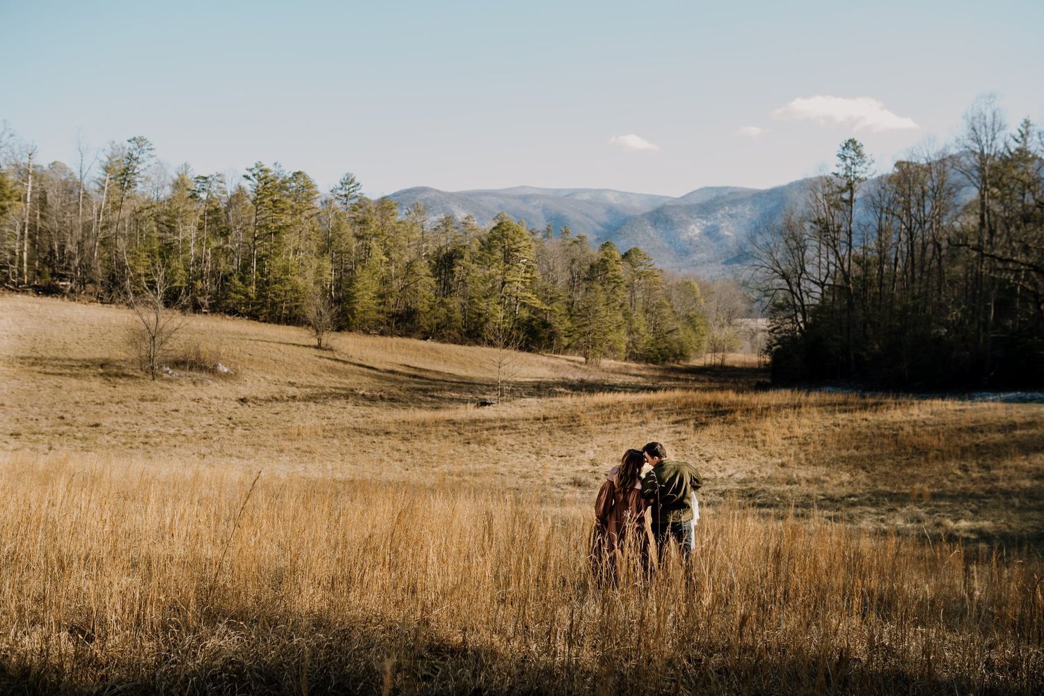 family in great smokies poses for pictures