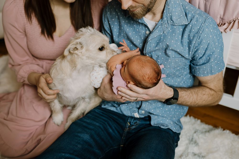 mom and dad sit on nursery floor holding pet dog and newborn baby girl for newborn photoshoot
