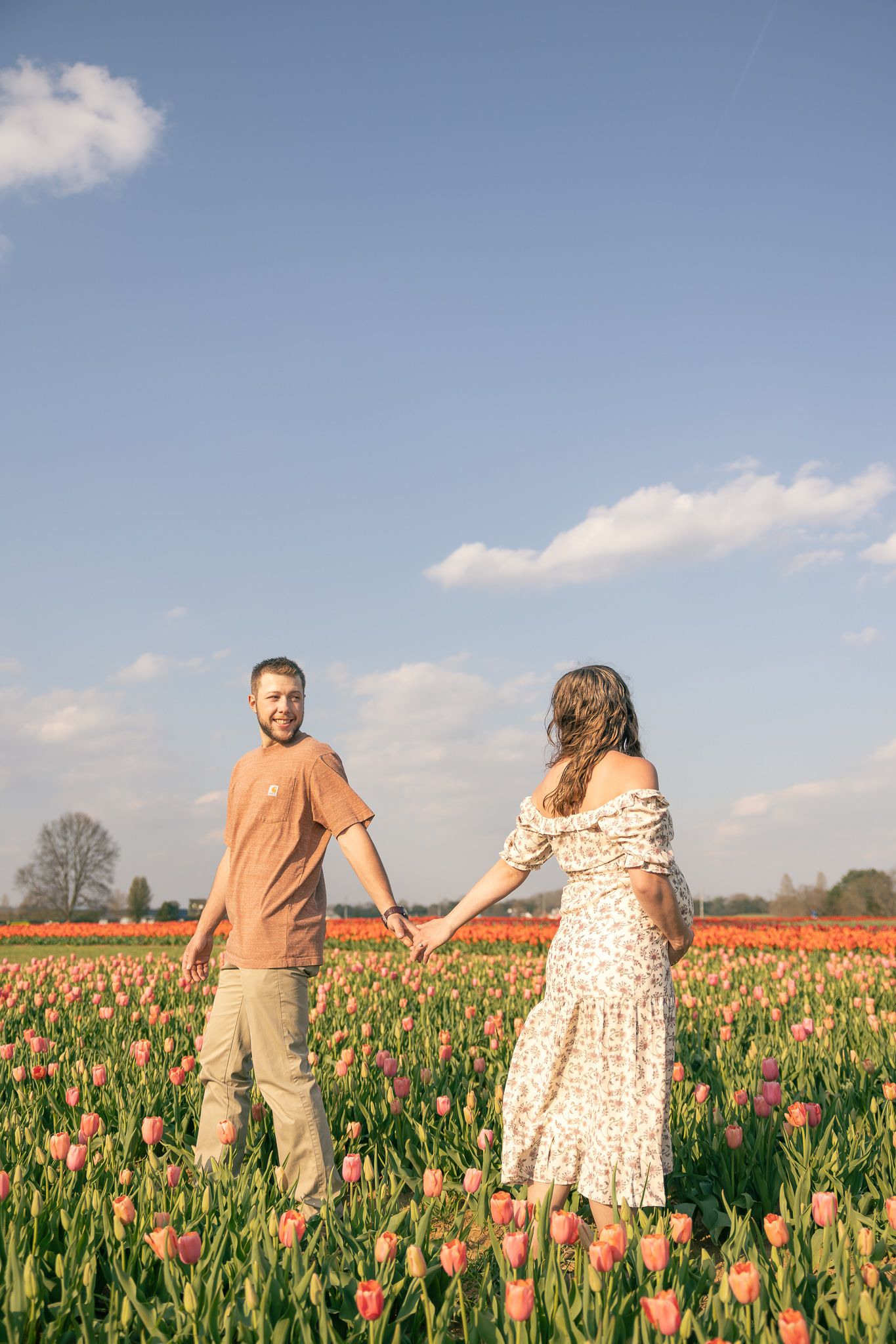 tulip fields maternity session