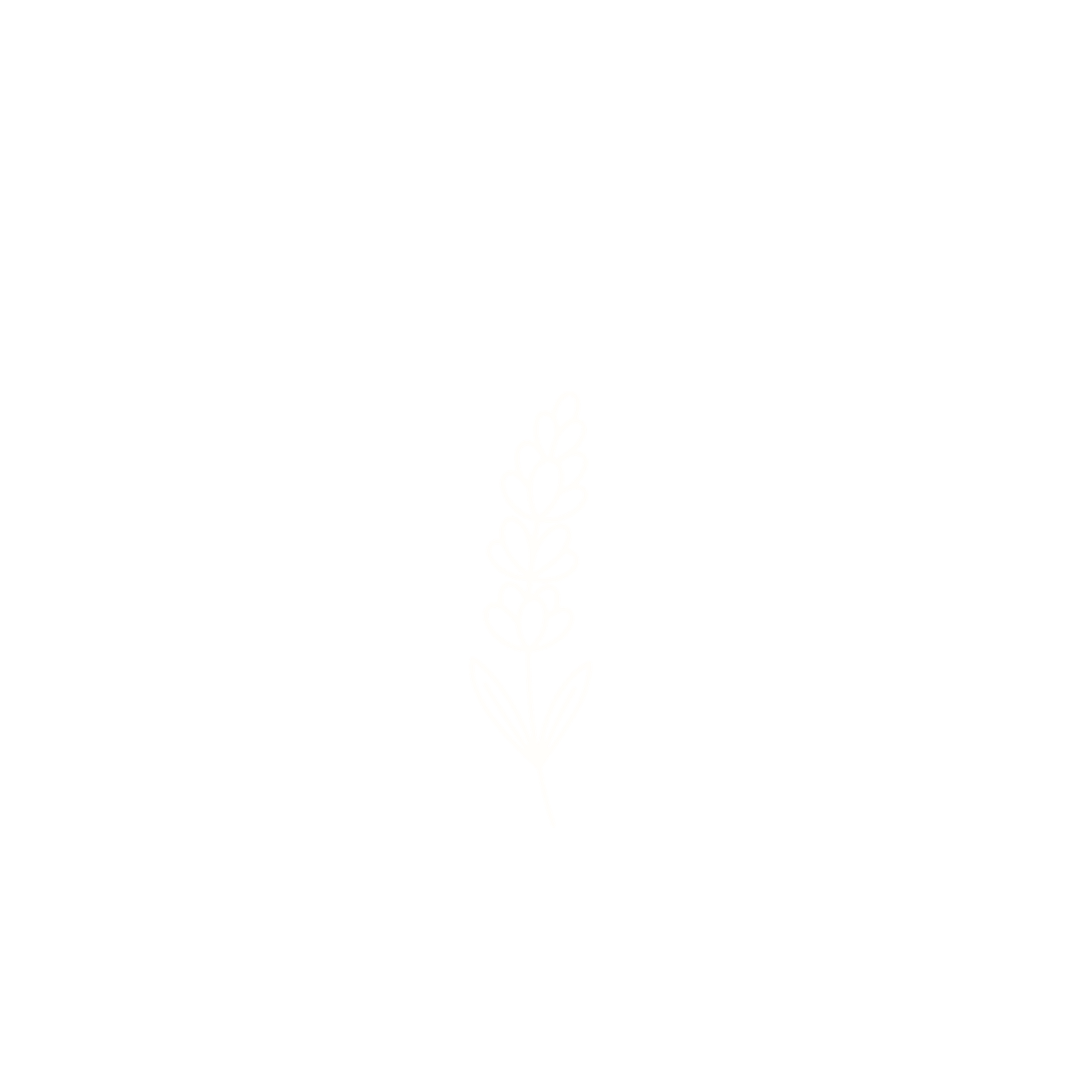 branding photo