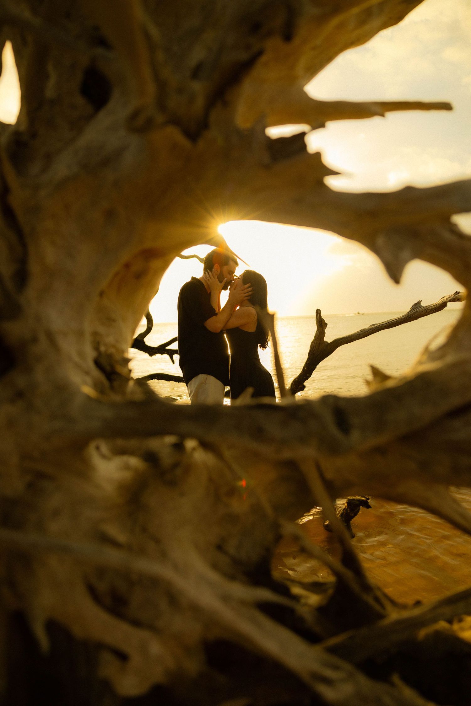 Couple kissing at sunset framed by driftwood on a beach, golden light glowing behind them.