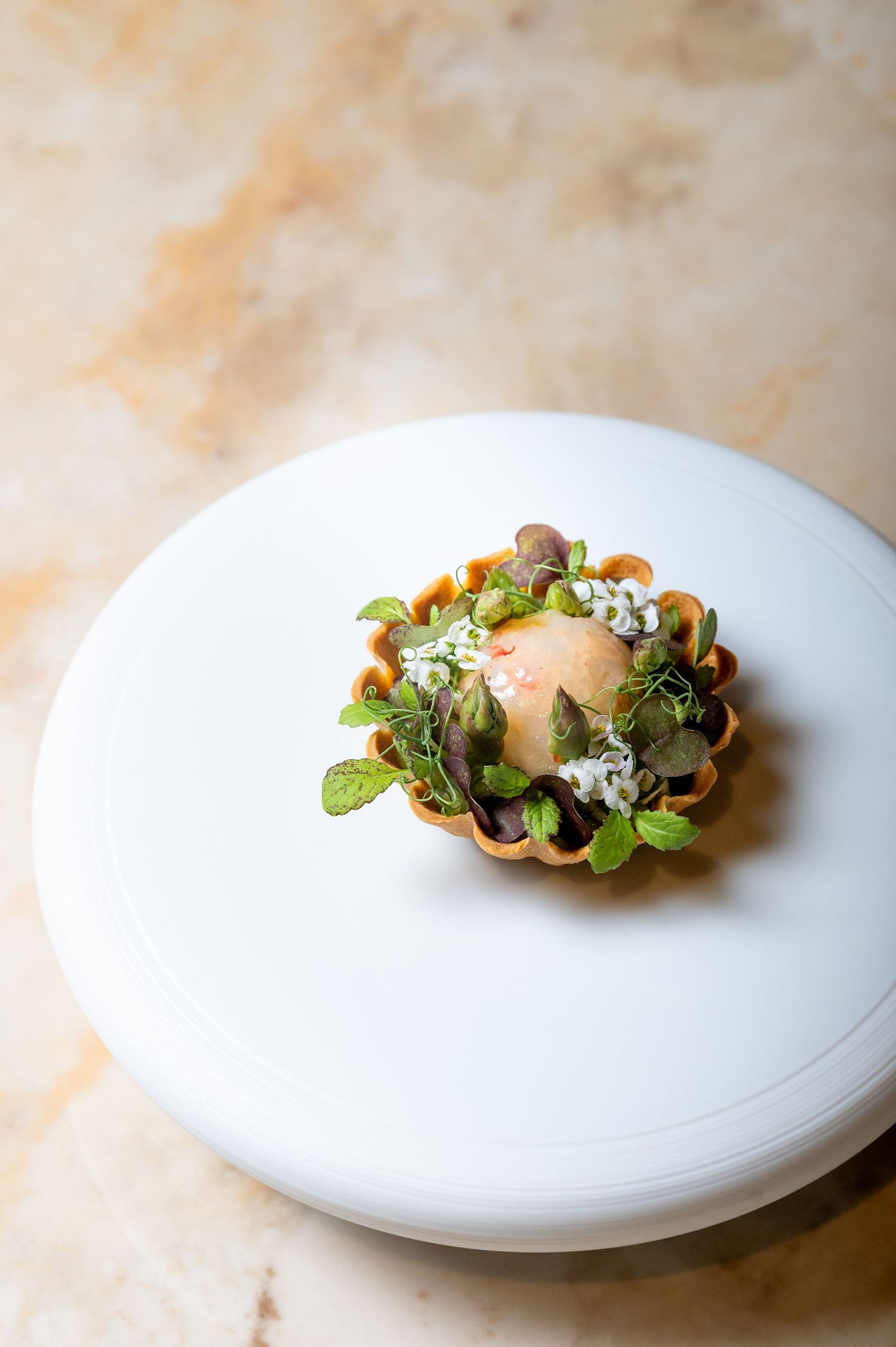 PHOTOGRAPHE CULINAIRE RESTAURANT ANNECY CHAMONIX GENEVE MEGEVE