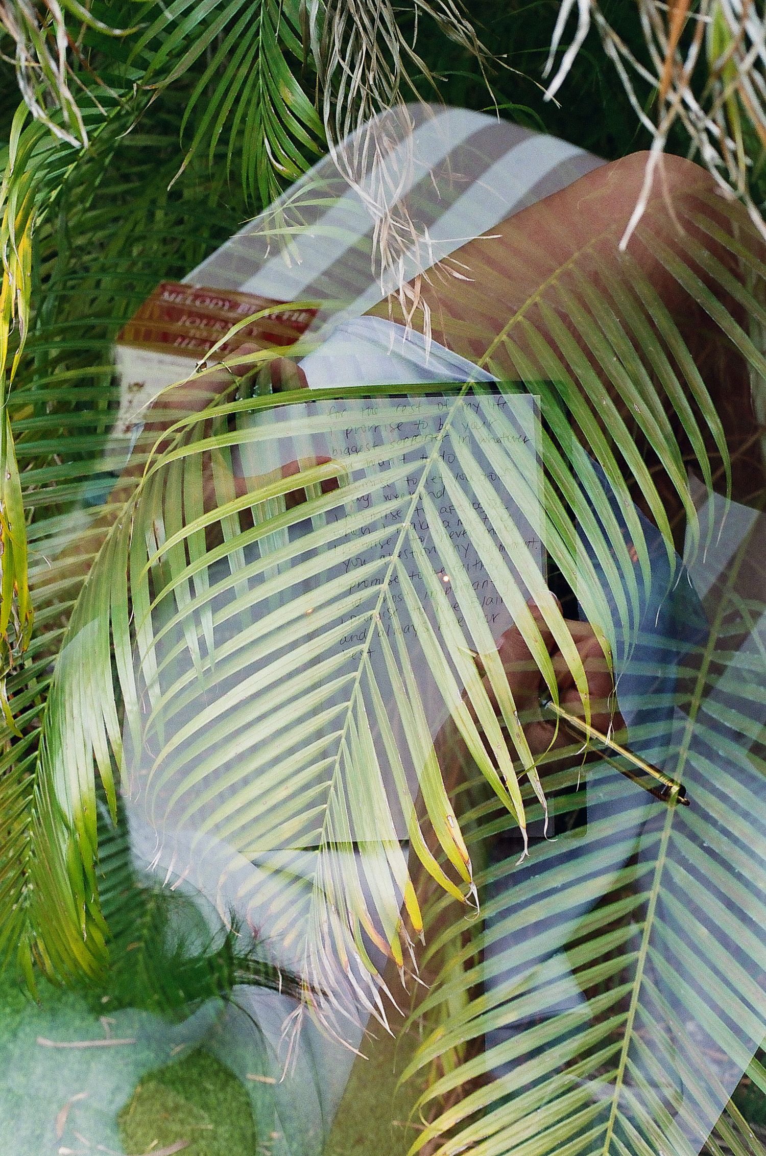 Palm fronds create an ethereal double exposure effect with soft natural lighting and textures.