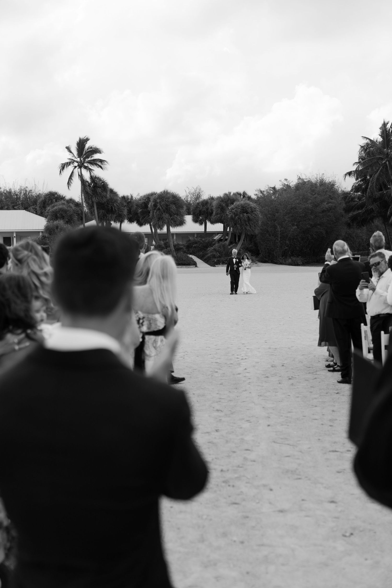 Black and white photo of wedding guests standing as bride walks down sandy beach aisle lined with palm trees.