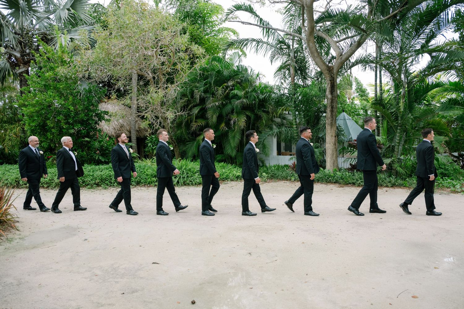 Groomsmen in black tuxedos walk in a line through a tropical palm tree setting.