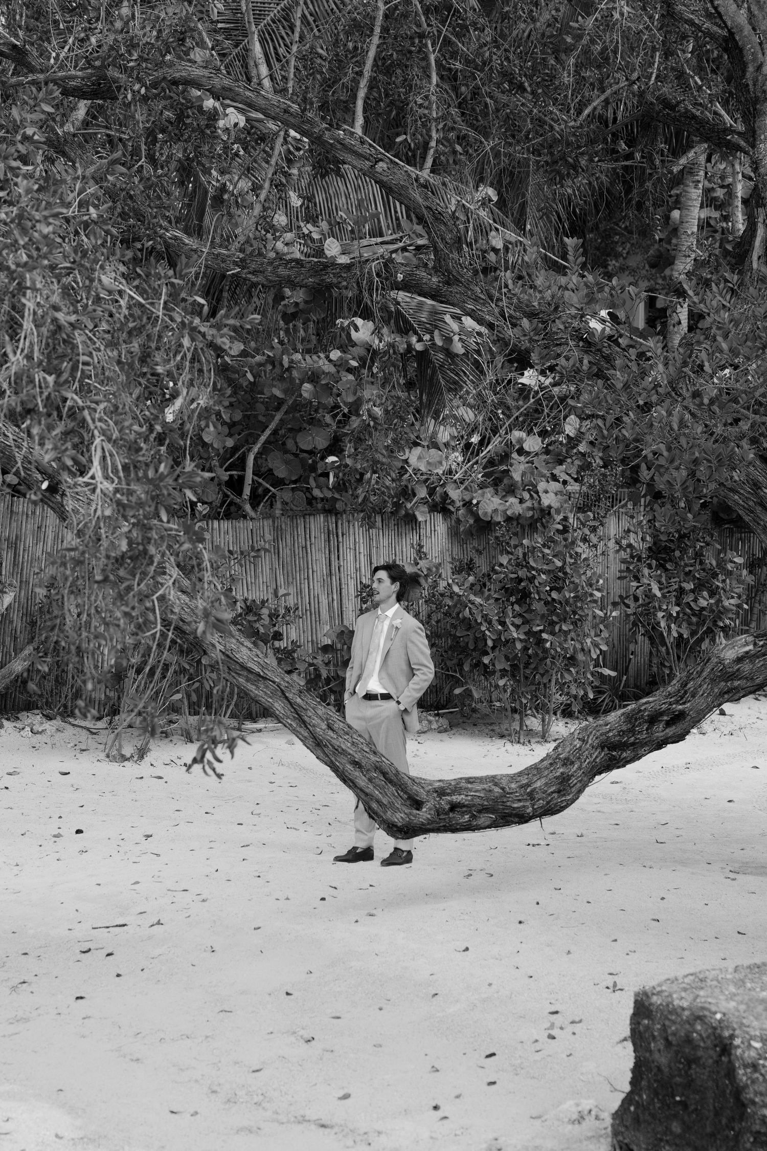 A person is sitting on a fallen tree trunk in a dense, overgrown forest.