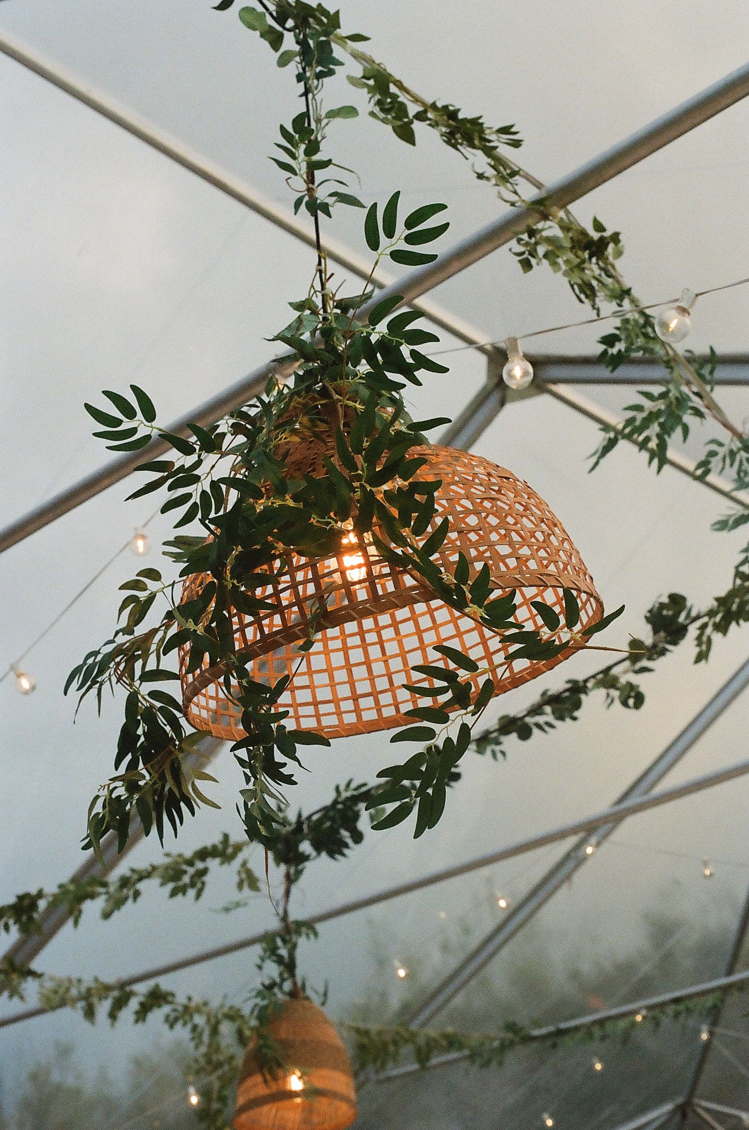 Decorative wicker pendant lamp adorned with green tropical leaves hangs inside a clear wedding reception tent.