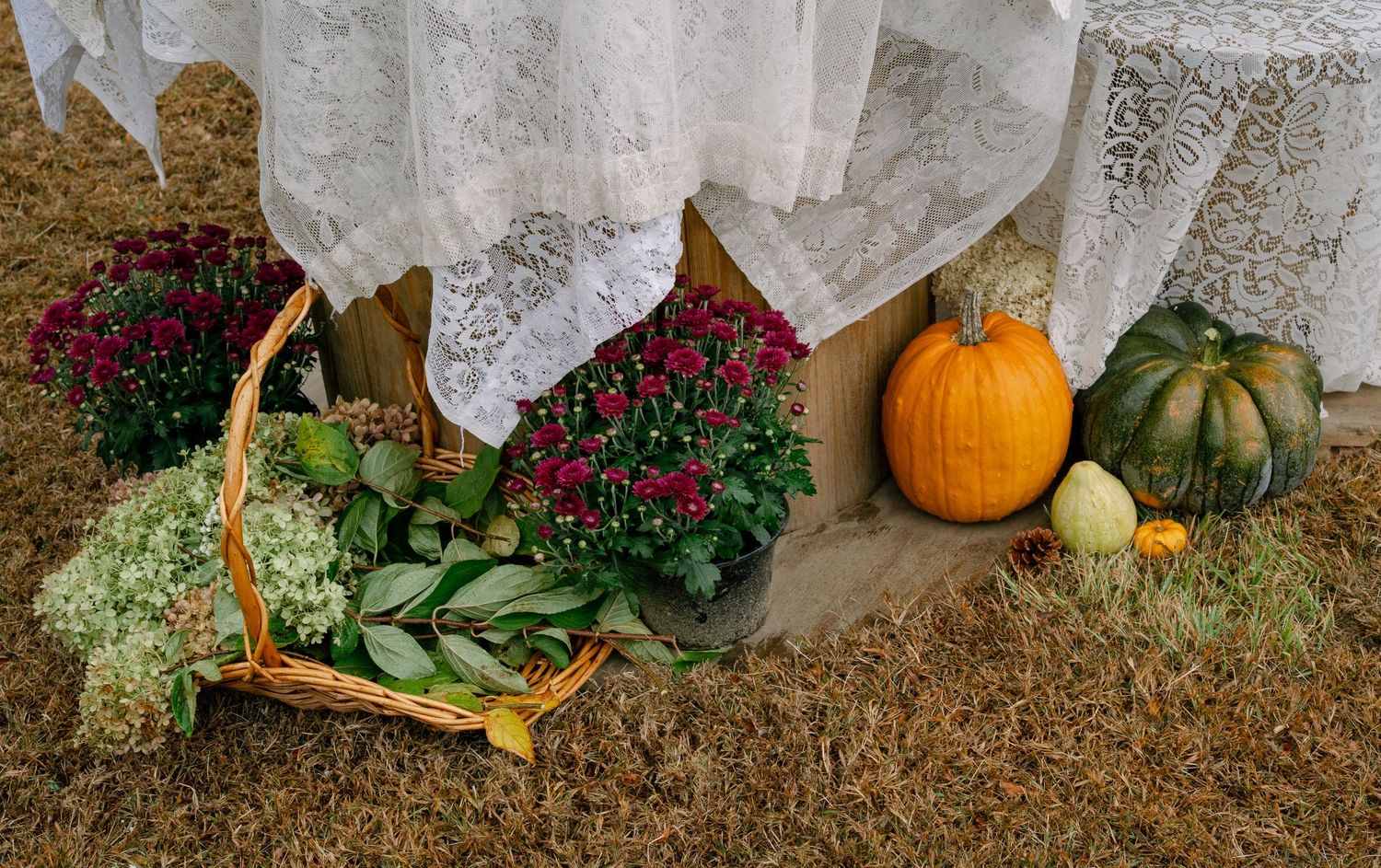 A collection of fall harvest decorations with pumpkins, gourds, and greenery arranged against a white wall.