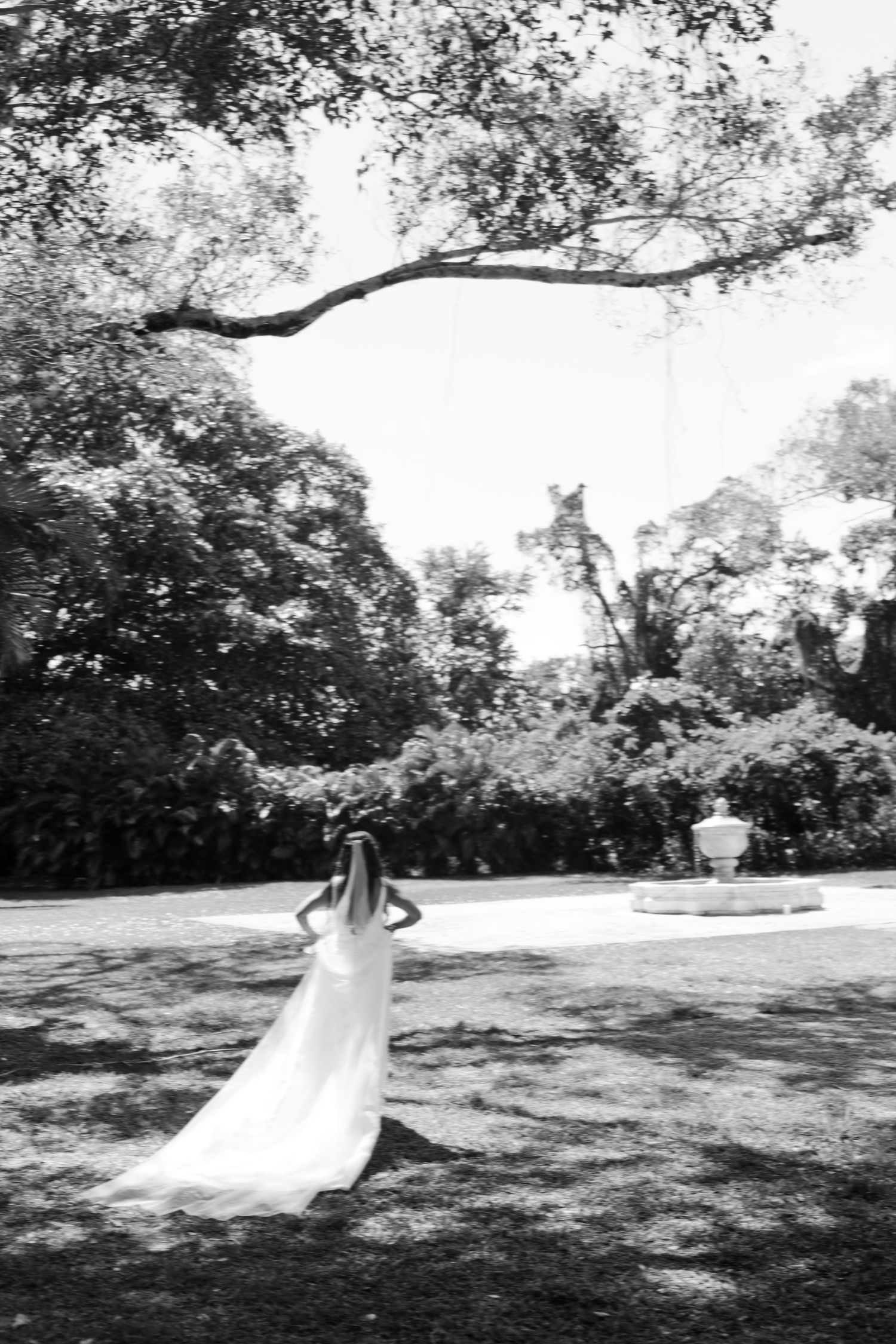 Black and white photo of bride in flowing white gown and veil walking through sunlit garden.