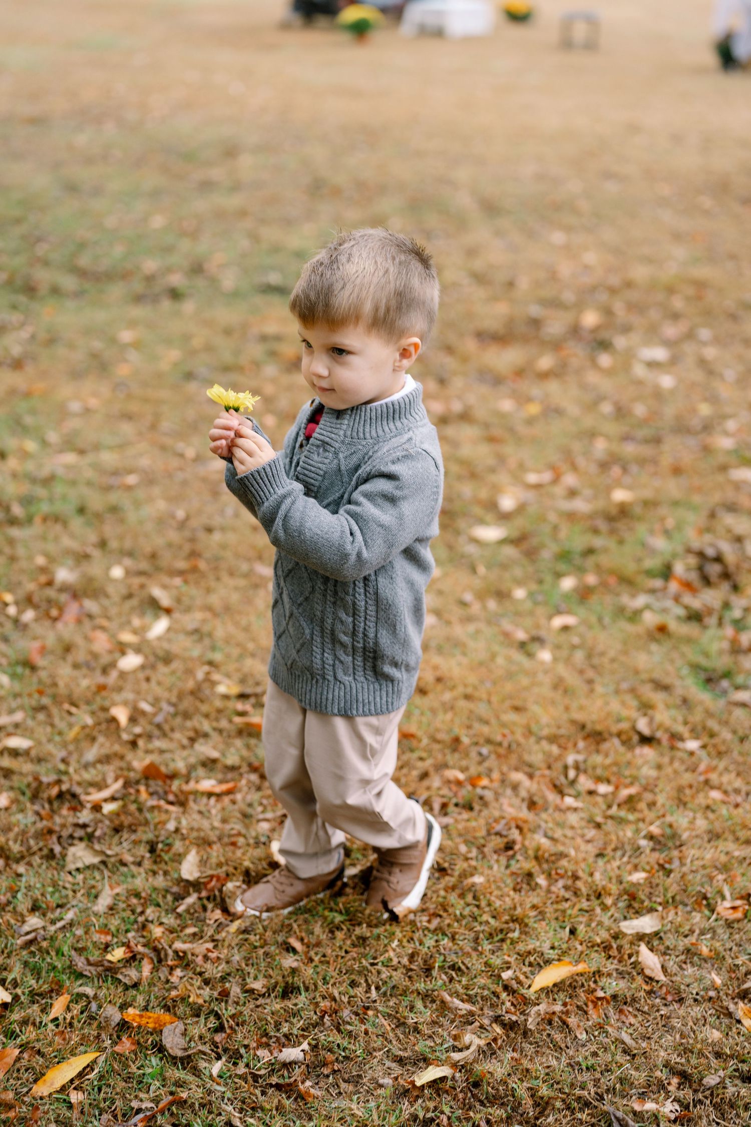 A small child explores fallen autumn leaves while wearing a cozy gray sweater in a park setting.