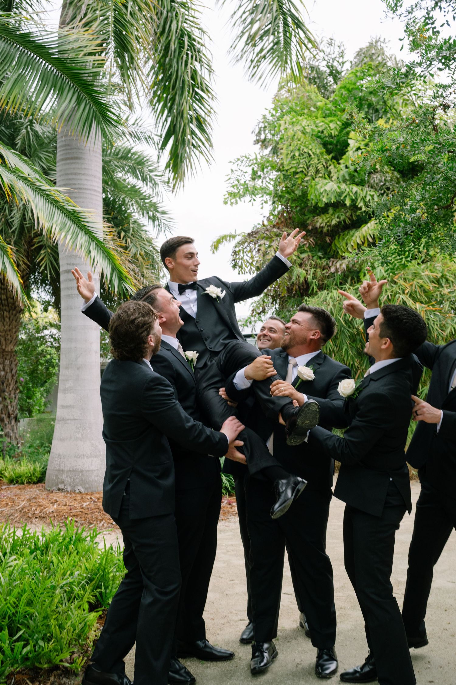 Groomsmen in black tuxedos lifting groom into air outdoors near palm trees in celebration.