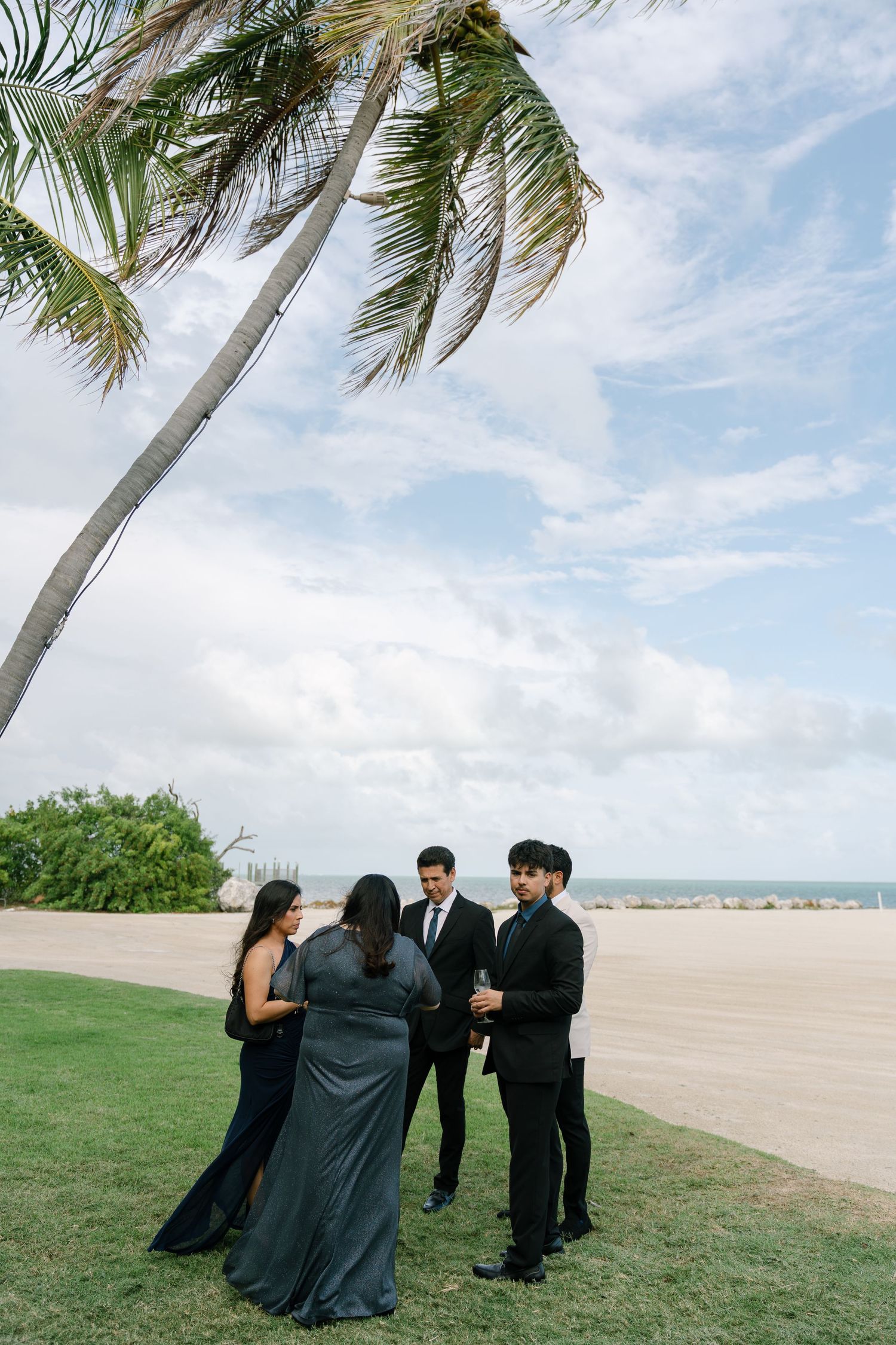 Wedding party in black formalwear gathered under leaning palm tree on tropical beach lawn.