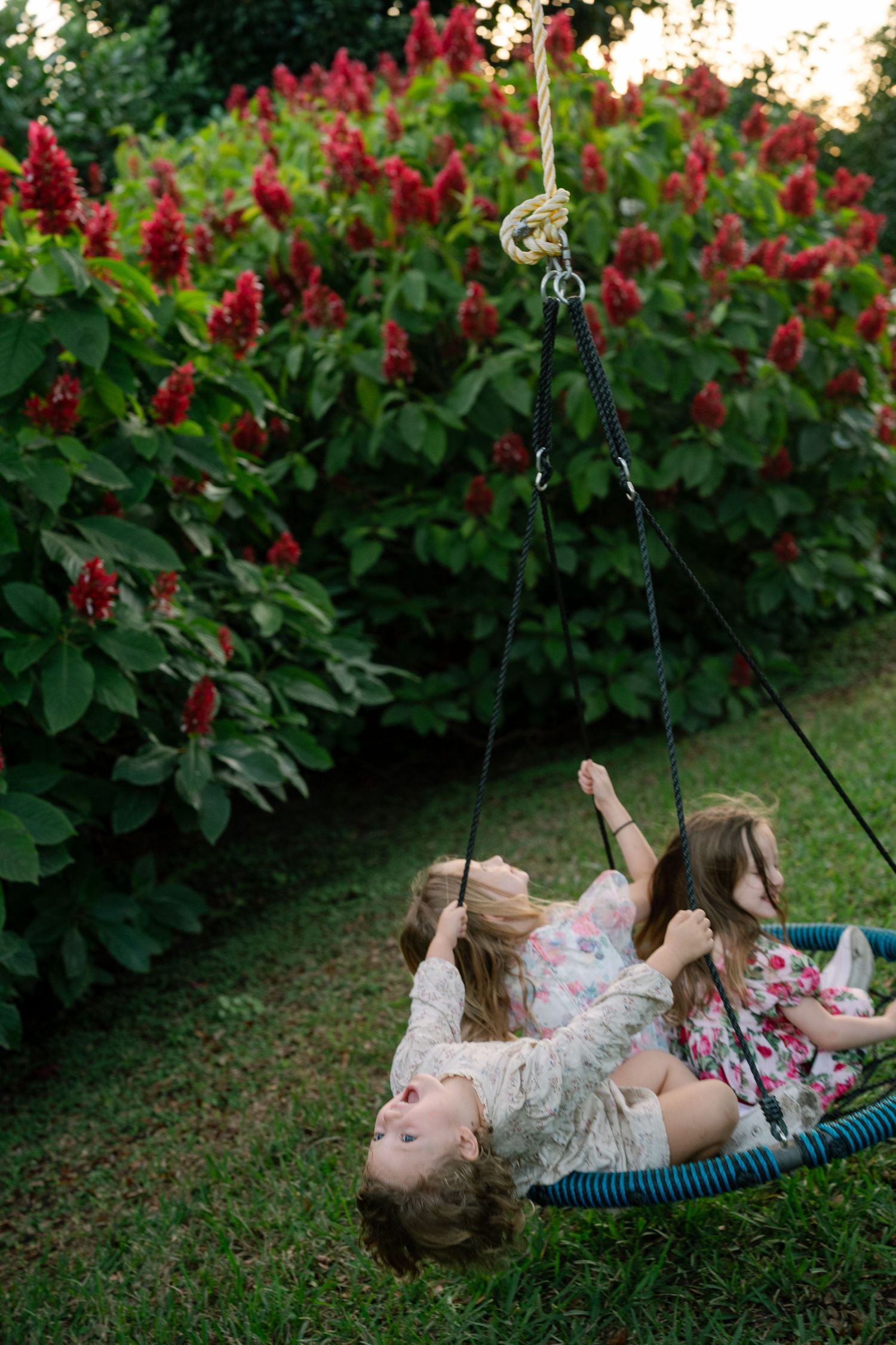 Sequence of playful moments on a garden swing with red flowers in the background.
