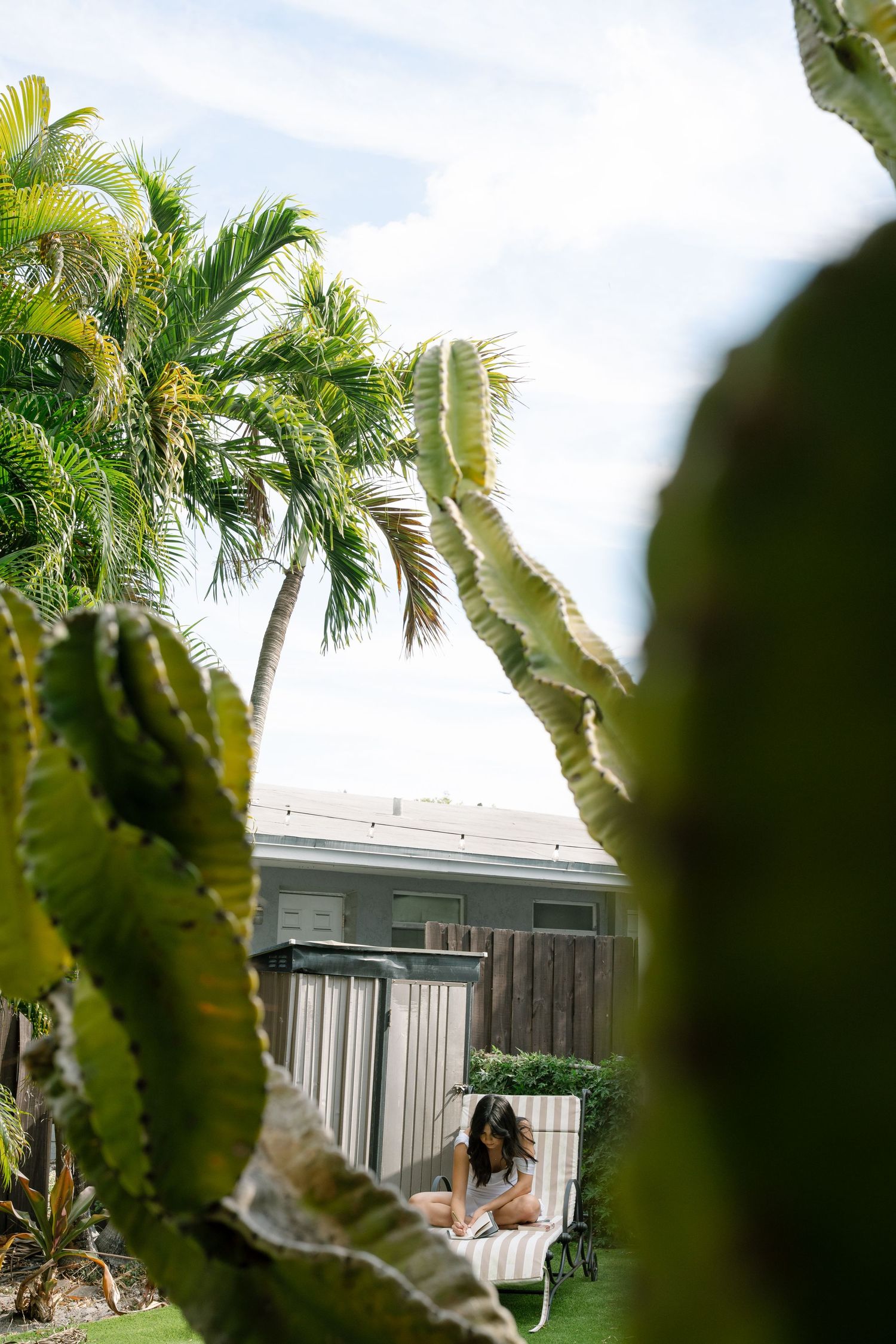 Palm trees and tropical foliage against blue sky viewed through leaves.