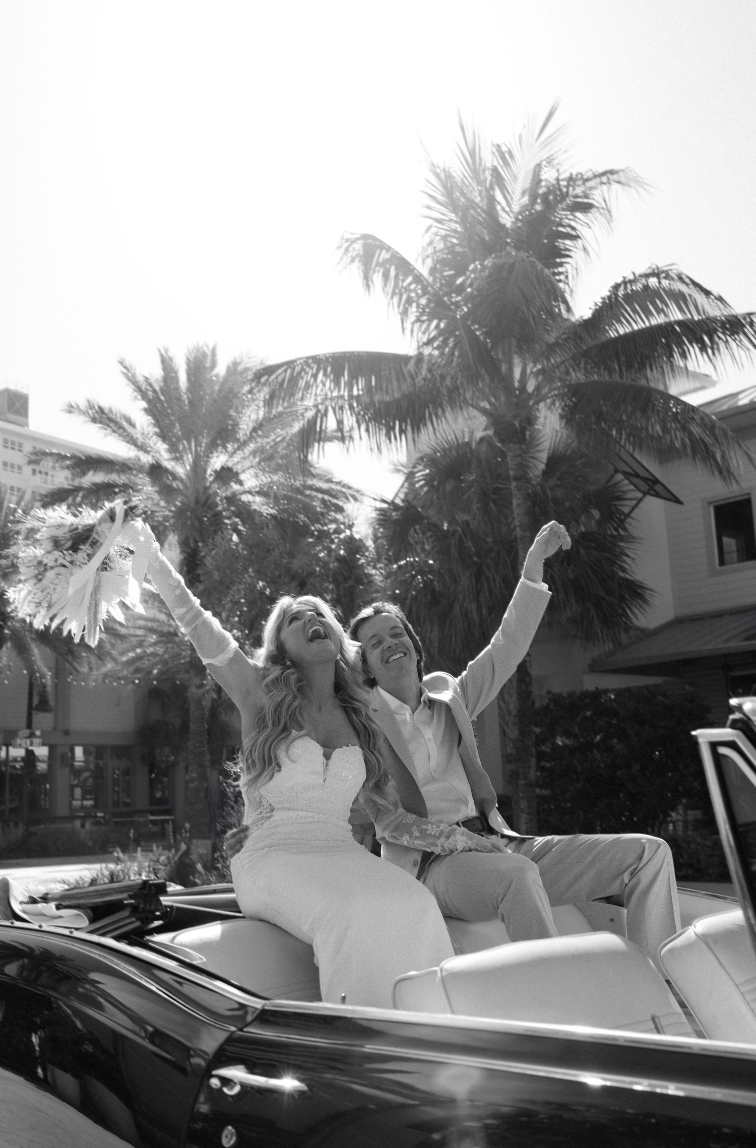 Energetic people celebrating in convertible cars under palm trees on a sunny day.